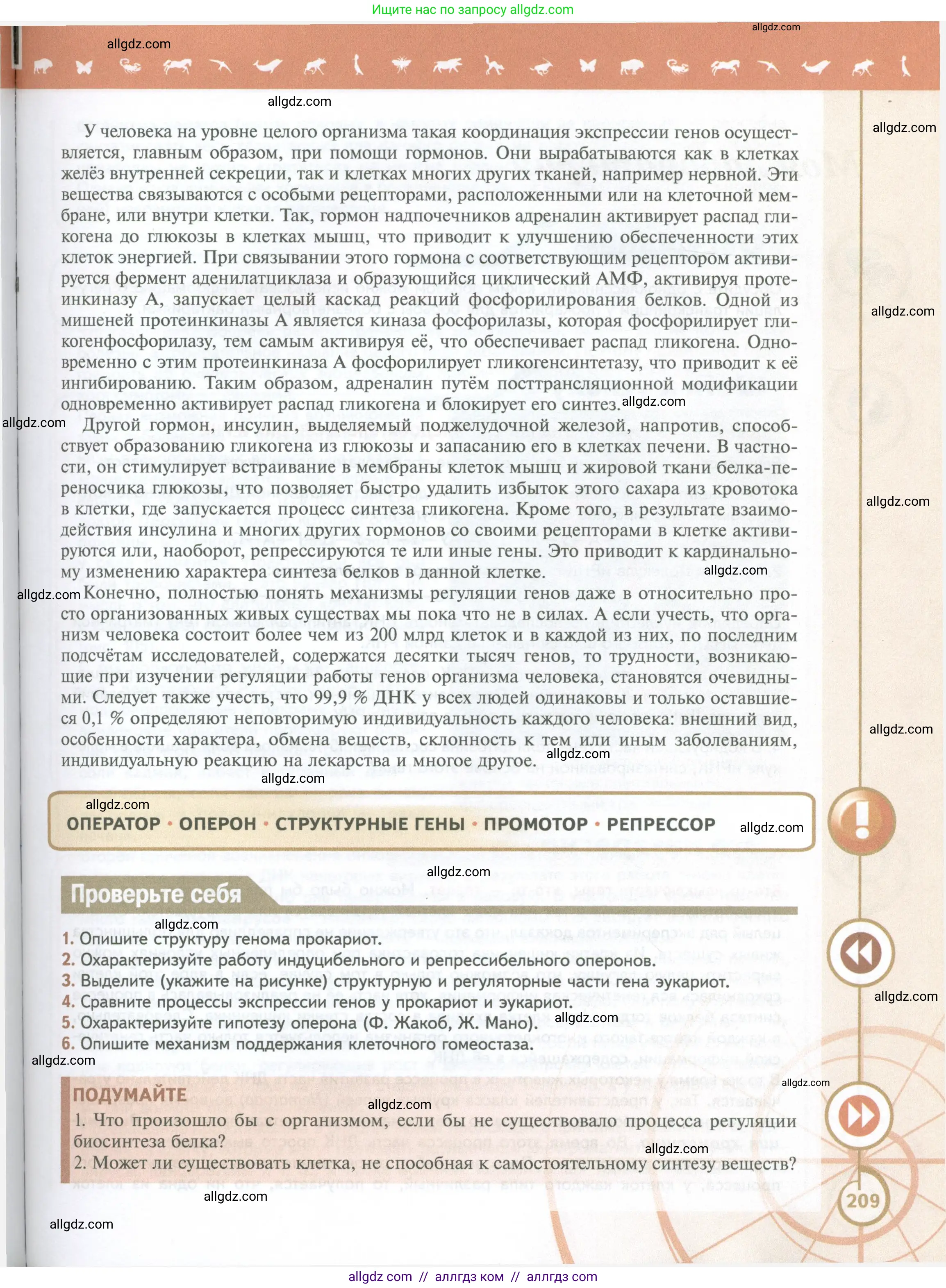 Биология, 10 класс Учебник, авторы: Пасечник Владимир Васильевич, Каменский Андрей Александрович, Рубцов Александр Михайлович, Швецов Глеб Геннадьевич, Абовян Леван Арташесович, Гапонюк Зоя Георгиевна, издательство Просвещение, Москва, 2024, коричневого цвета, Часть 1, страница 209