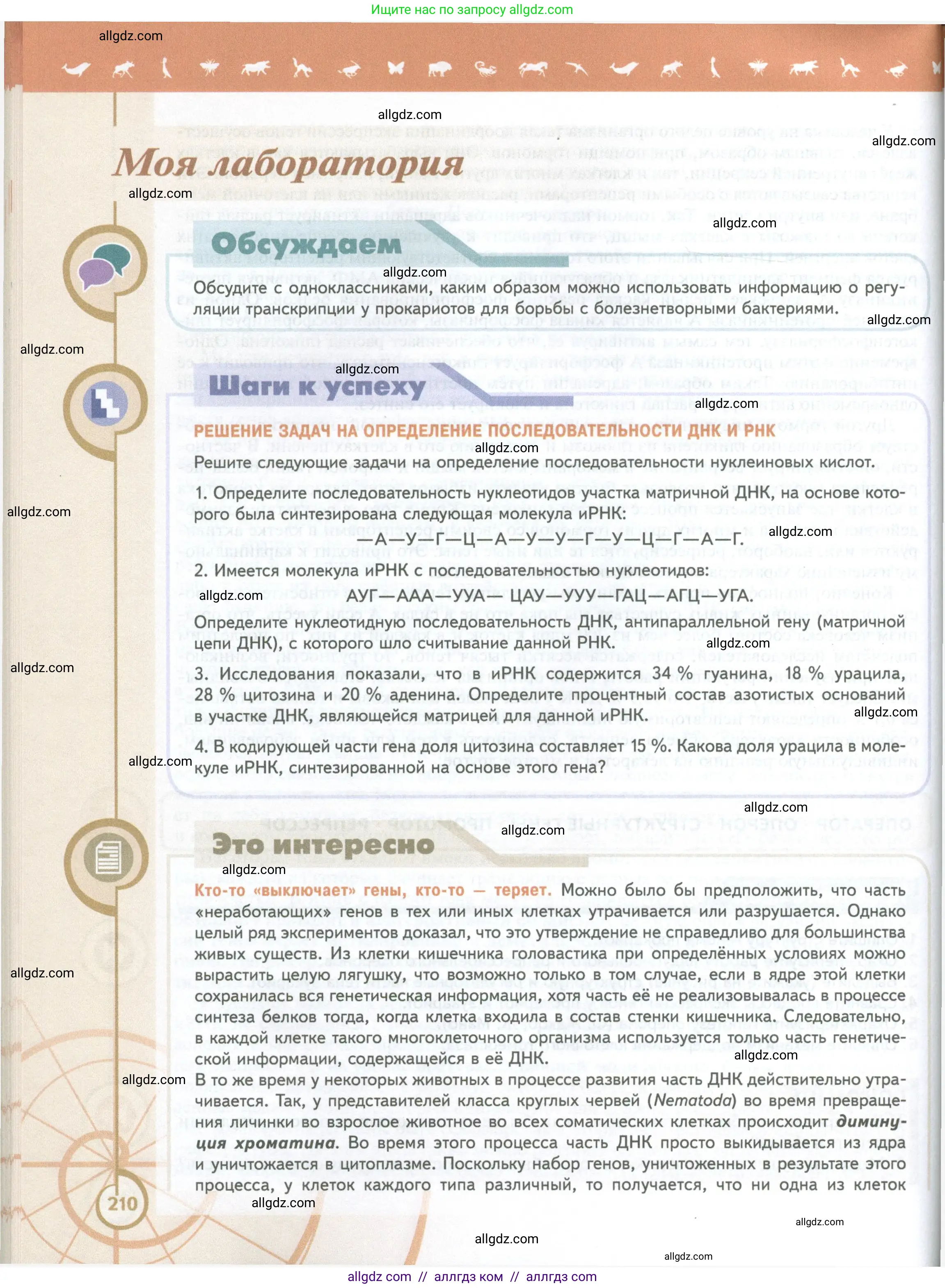 Биология, 10 класс Учебник, авторы: Пасечник Владимир Васильевич, Каменский Андрей Александрович, Рубцов Александр Михайлович, Швецов Глеб Геннадьевич, Абовян Леван Арташесович, Гапонюк Зоя Георгиевна, издательство Просвещение, Москва, 2024, коричневого цвета, Часть 1, страница 210