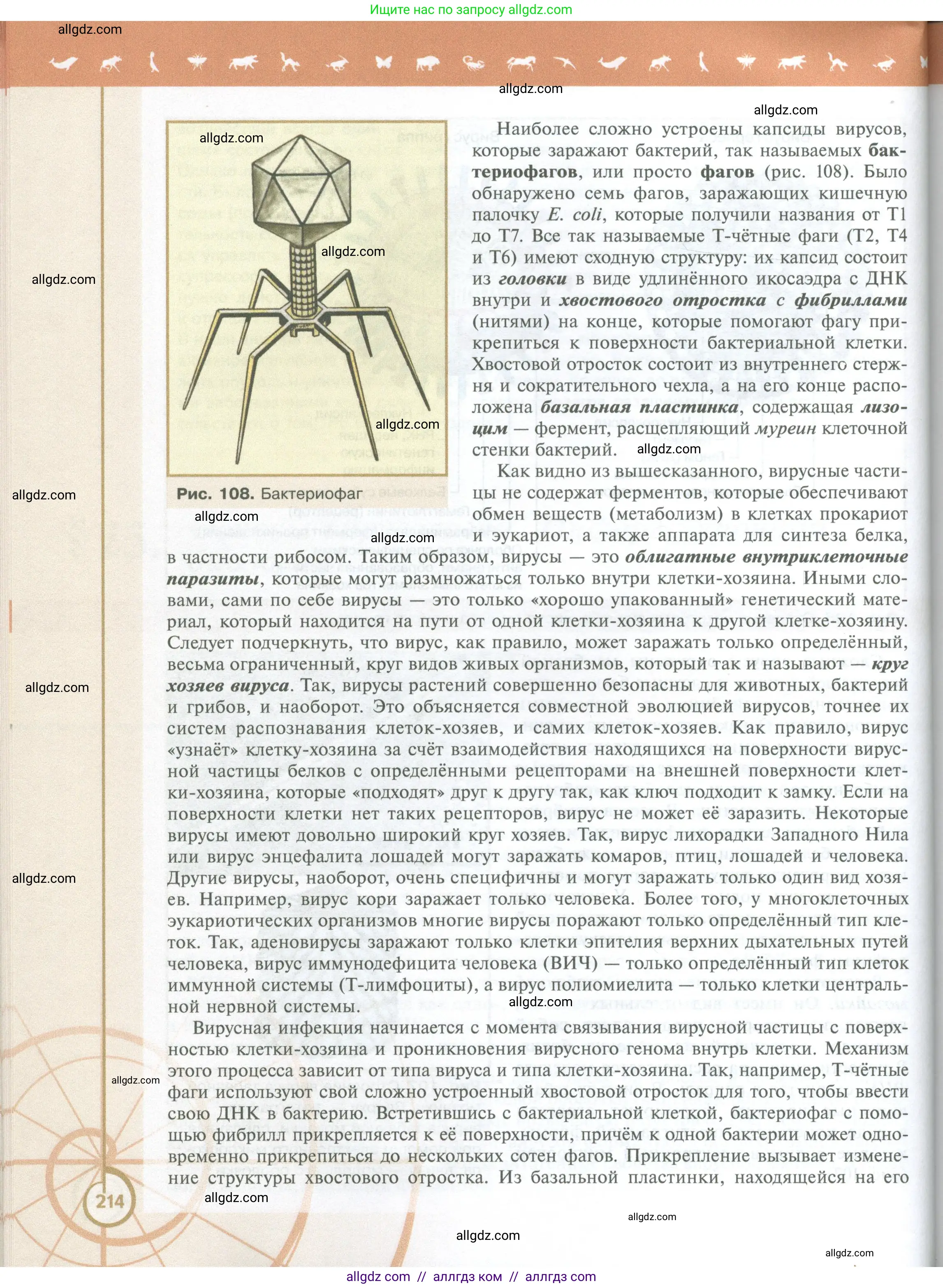 Биология, 10 класс Учебник, авторы: Пасечник Владимир Васильевич, Каменский Андрей Александрович, Рубцов Александр Михайлович, Швецов Глеб Геннадьевич, Абовян Леван Арташесович, Гапонюк Зоя Георгиевна, издательство Просвещение, Москва, 2024, коричневого цвета, страница 214