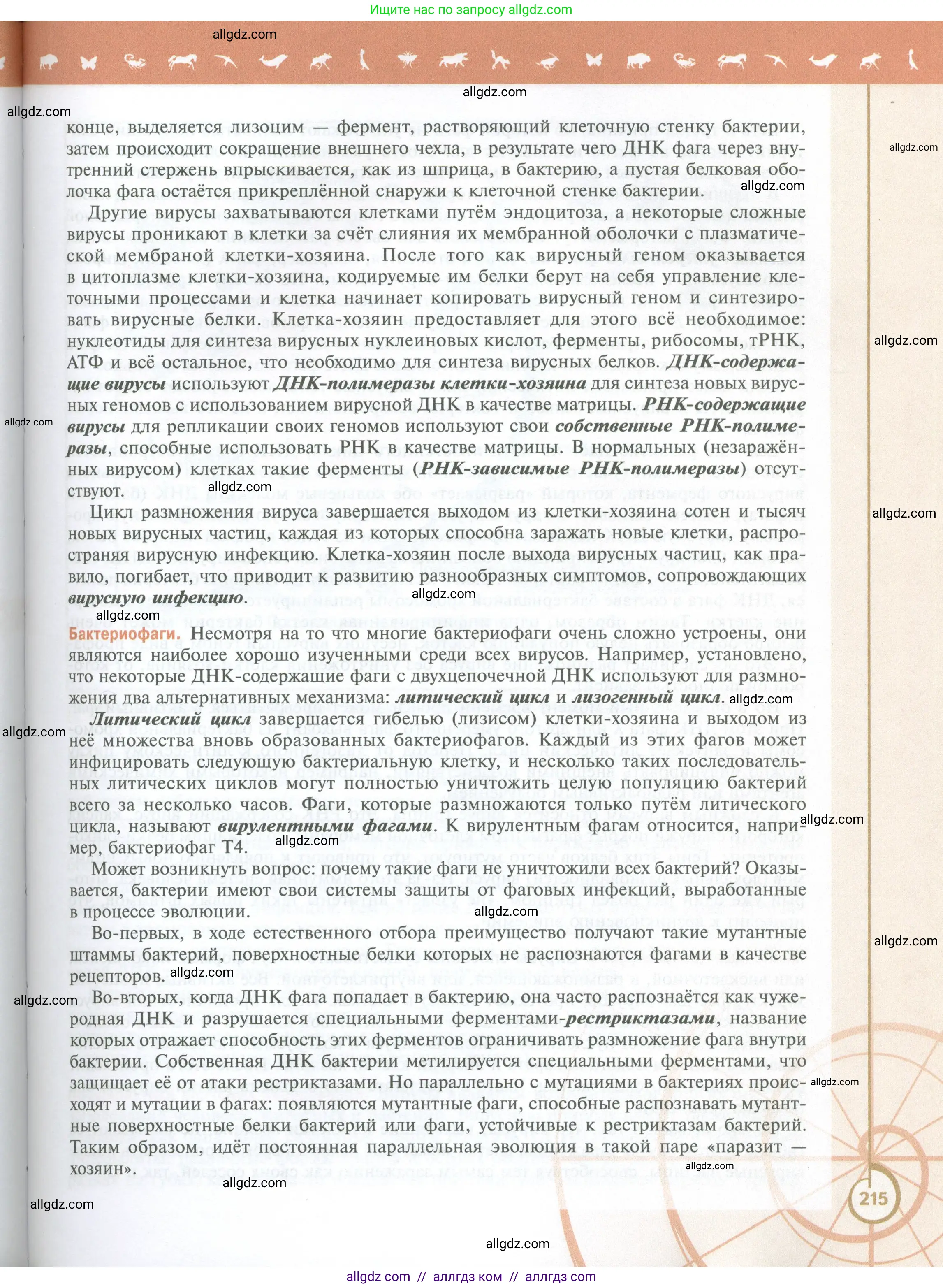Биология, 10 класс Учебник, авторы: Пасечник Владимир Васильевич, Каменский Андрей Александрович, Рубцов Александр Михайлович, Швецов Глеб Геннадьевич, Абовян Леван Арташесович, Гапонюк Зоя Георгиевна, издательство Просвещение, Москва, 2024, коричневого цвета, страница 215