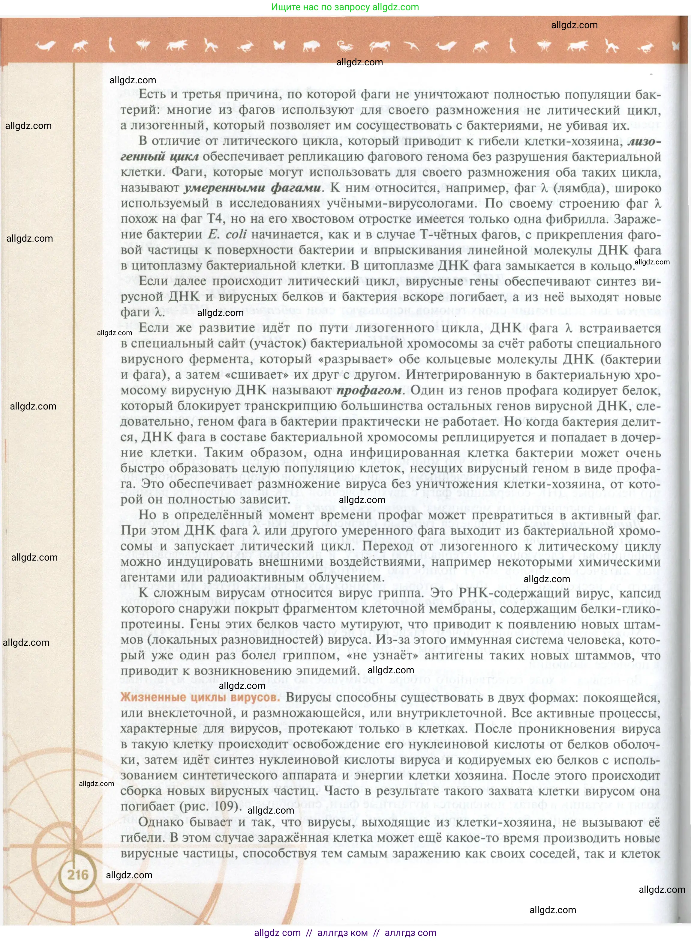 Биология, 10 класс Учебник, авторы: Пасечник Владимир Васильевич, Каменский Андрей Александрович, Рубцов Александр Михайлович, Швецов Глеб Геннадьевич, Абовян Леван Арташесович, Гапонюк Зоя Георгиевна, издательство Просвещение, Москва, 2024, коричневого цвета, страница 216