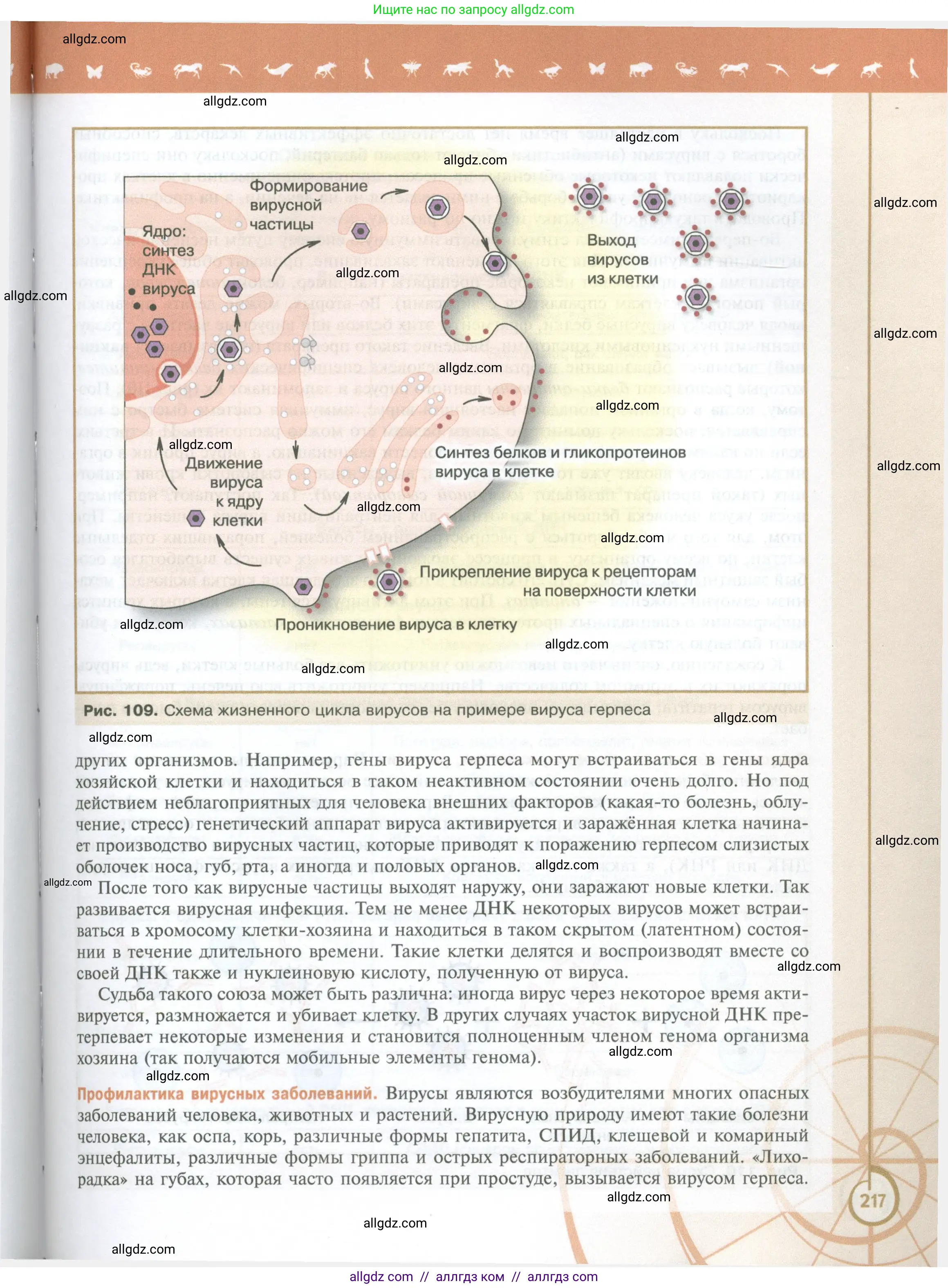 Биология, 10 класс Учебник, авторы: Пасечник Владимир Васильевич, Каменский Андрей Александрович, Рубцов Александр Михайлович, Швецов Глеб Геннадьевич, Абовян Леван Арташесович, Гапонюк Зоя Георгиевна, издательство Просвещение, Москва, 2024, коричневого цвета, страница 217