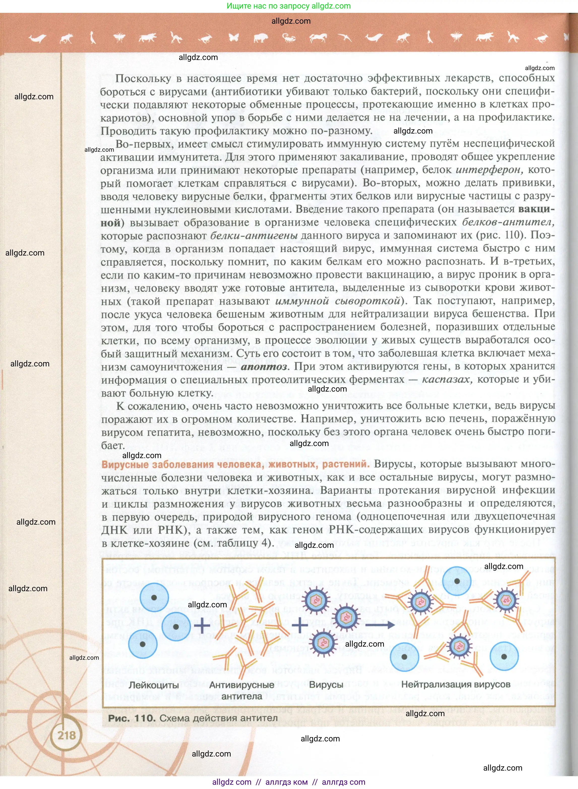 Биология, 10 класс Учебник, авторы: Пасечник Владимир Васильевич, Каменский Андрей Александрович, Рубцов Александр Михайлович, Швецов Глеб Геннадьевич, Абовян Леван Арташесович, Гапонюк Зоя Георгиевна, издательство Просвещение, Москва, 2024, коричневого цвета, страница 218