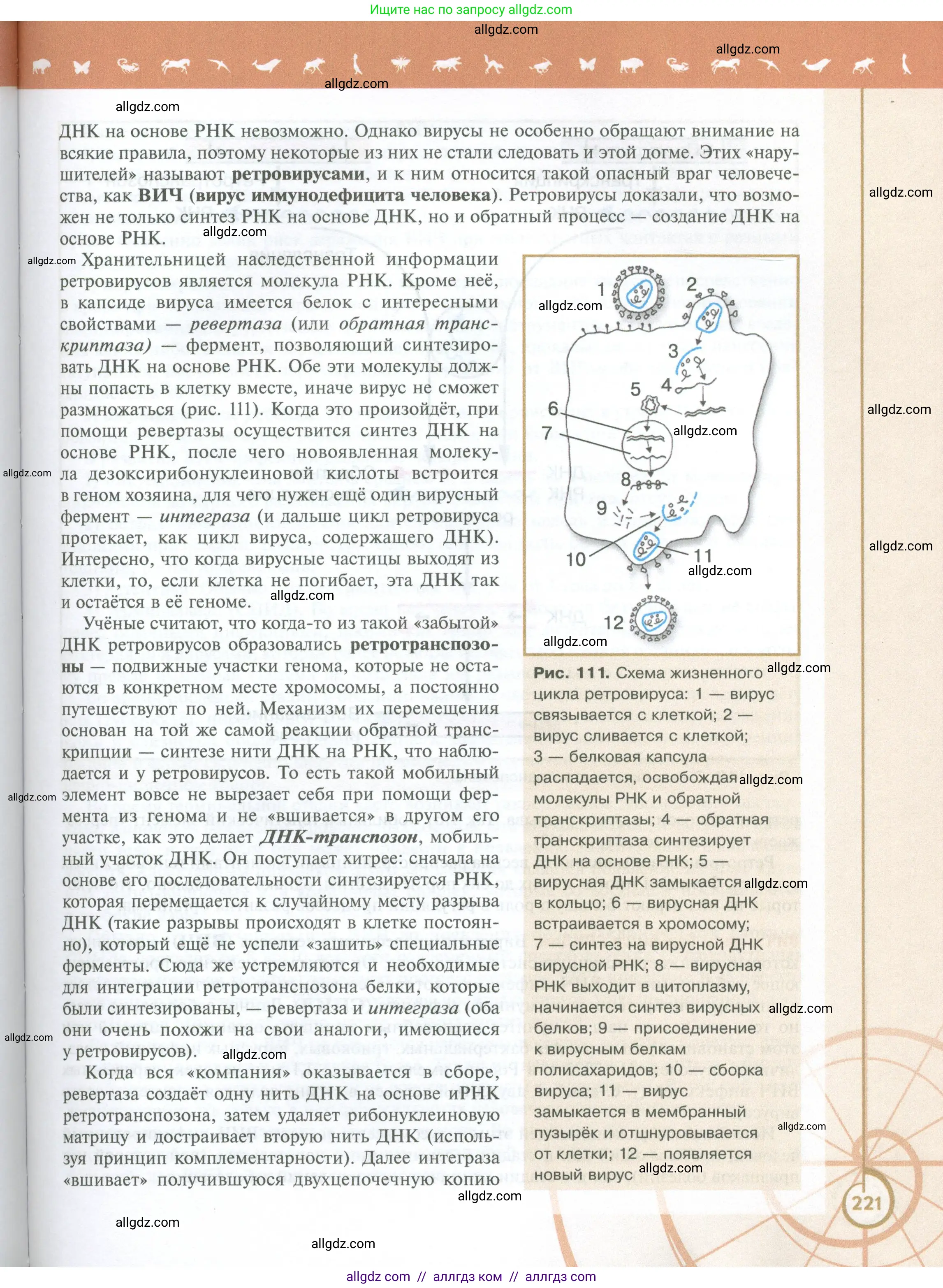 Биология, 10 класс Учебник, авторы: Пасечник Владимир Васильевич, Каменский Андрей Александрович, Рубцов Александр Михайлович, Швецов Глеб Геннадьевич, Абовян Леван Арташесович, Гапонюк Зоя Георгиевна, издательство Просвещение, Москва, 2024, коричневого цвета, страница 221
