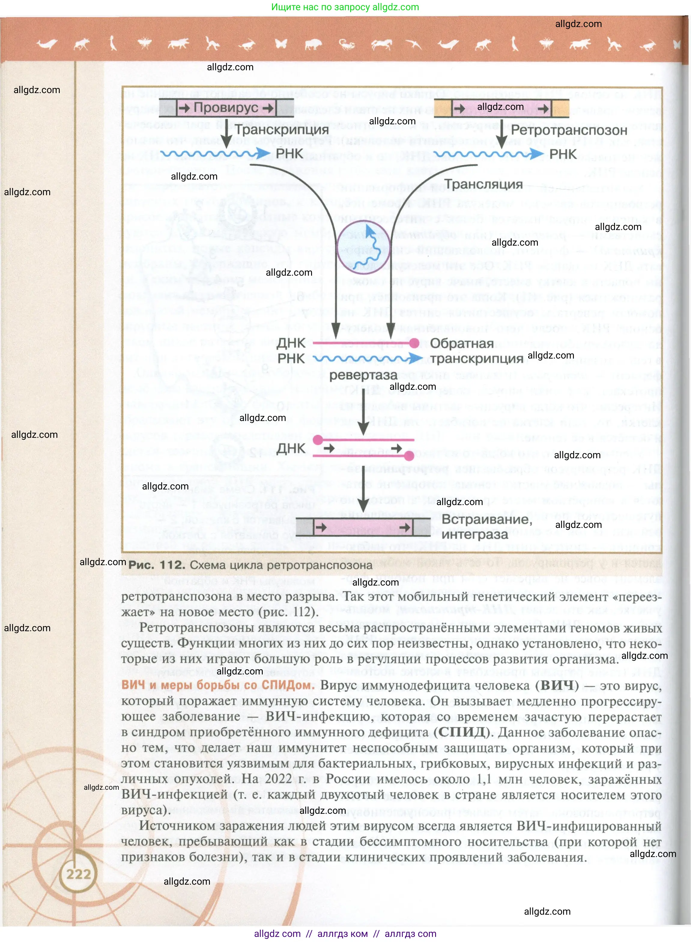 Биология, 10 класс Учебник, авторы: Пасечник Владимир Васильевич, Каменский Андрей Александрович, Рубцов Александр Михайлович, Швецов Глеб Геннадьевич, Абовян Леван Арташесович, Гапонюк Зоя Георгиевна, издательство Просвещение, Москва, 2024, коричневого цвета, страница 222