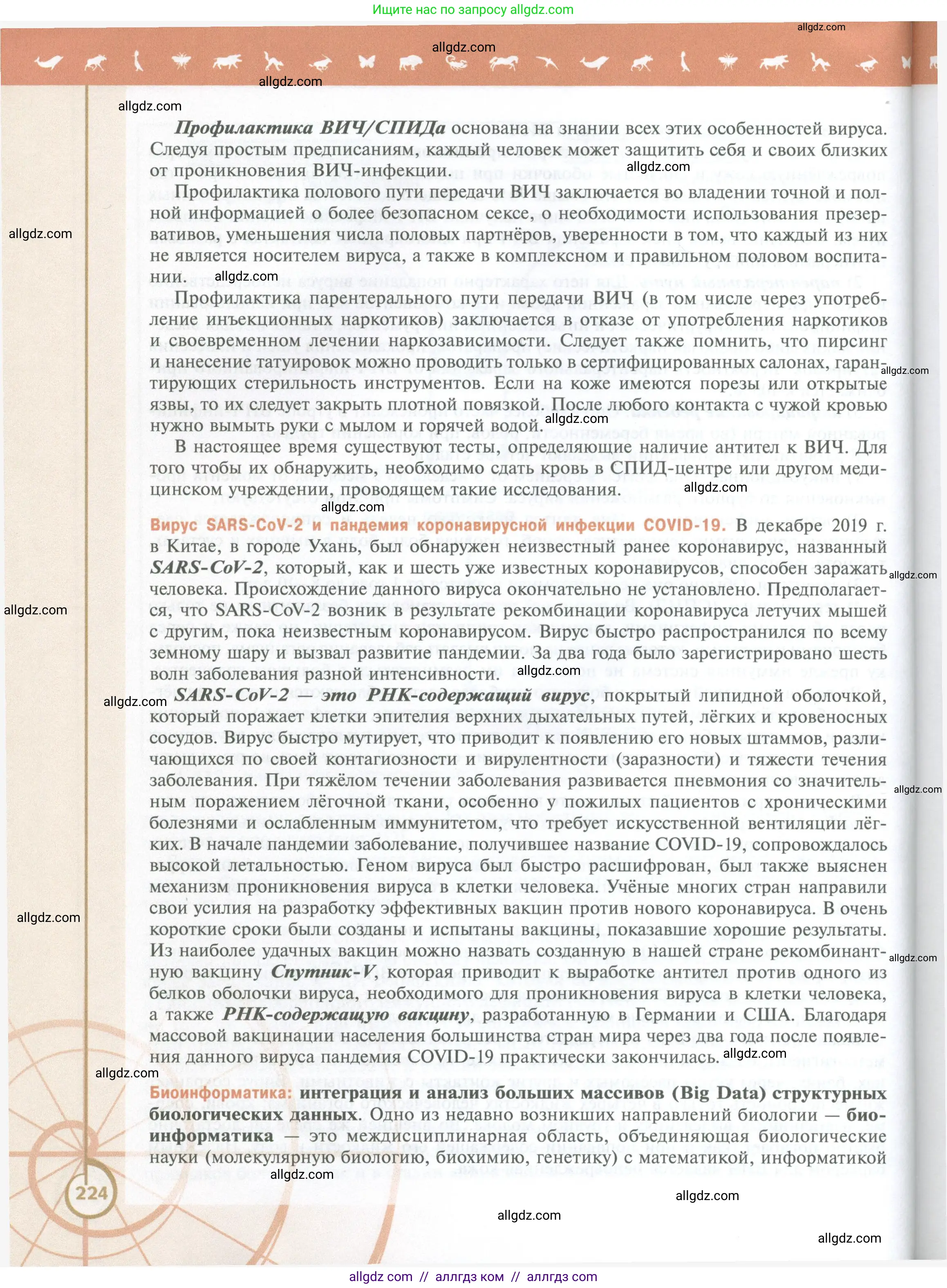 Биология, 10 класс Учебник, авторы: Пасечник Владимир Васильевич, Каменский Андрей Александрович, Рубцов Александр Михайлович, Швецов Глеб Геннадьевич, Абовян Леван Арташесович, Гапонюк Зоя Георгиевна, издательство Просвещение, Москва, 2024, коричневого цвета, страница 224