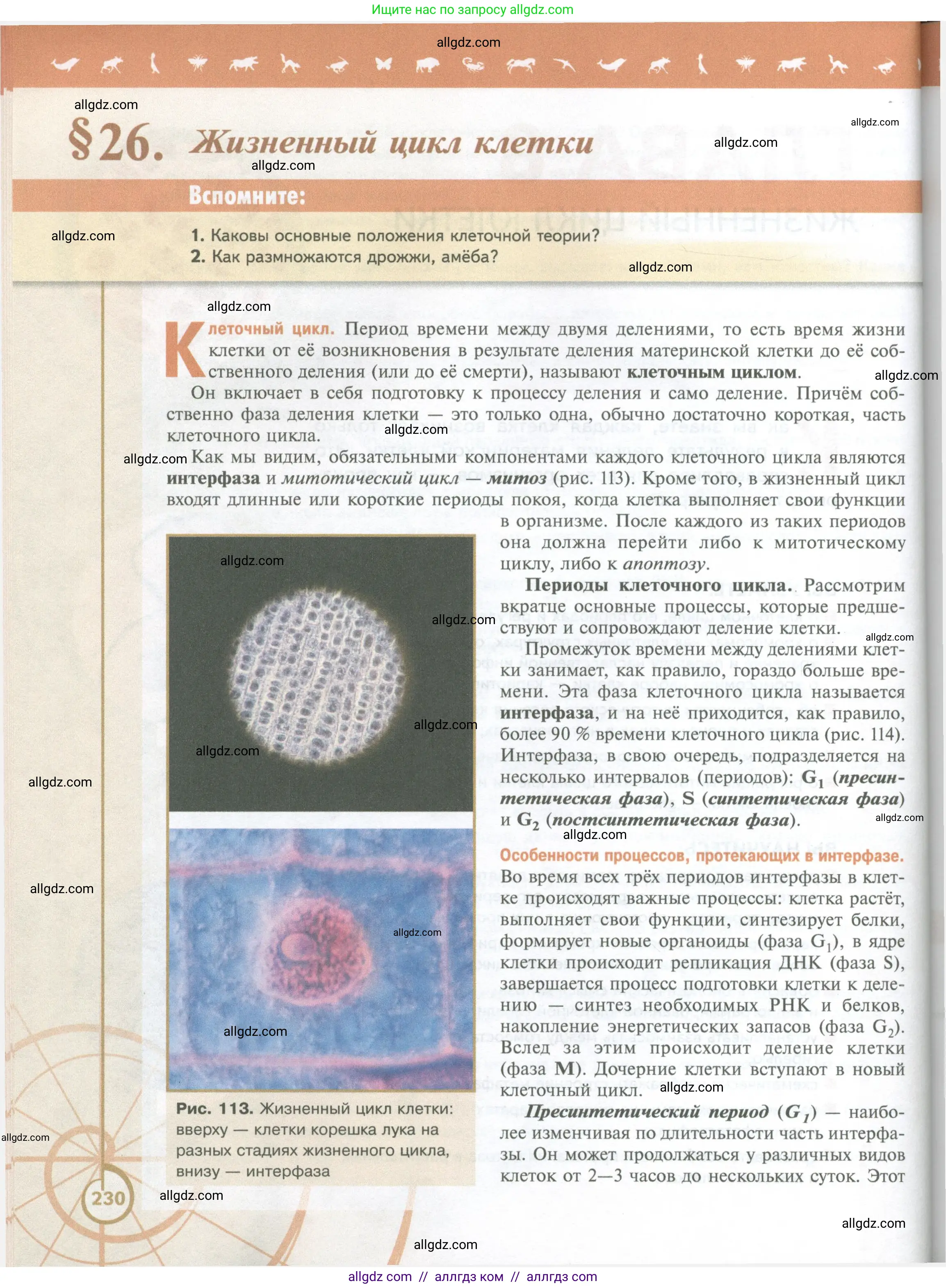 Биология, 10 класс Учебник, авторы: Пасечник Владимир Васильевич, Каменский Андрей Александрович, Рубцов Александр Михайлович, Швецов Глеб Геннадьевич, Абовян Леван Арташесович, Гапонюк Зоя Георгиевна, издательство Просвещение, Москва, 2024, коричневого цвета, Часть 1, страница 230