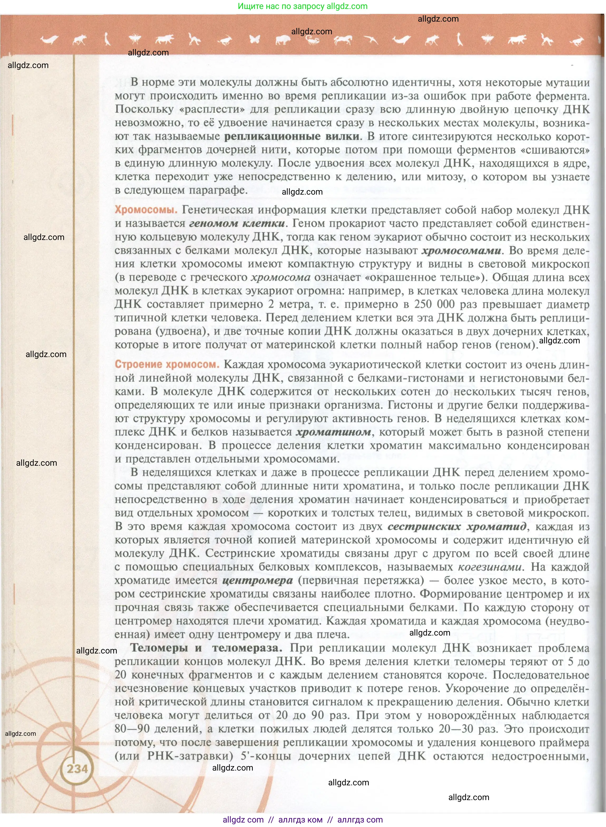Биология, 10 класс Учебник, авторы: Пасечник Владимир Васильевич, Каменский Андрей Александрович, Рубцов Александр Михайлович, Швецов Глеб Геннадьевич, Абовян Леван Арташесович, Гапонюк Зоя Георгиевна, издательство Просвещение, Москва, 2024, коричневого цвета, страница 234