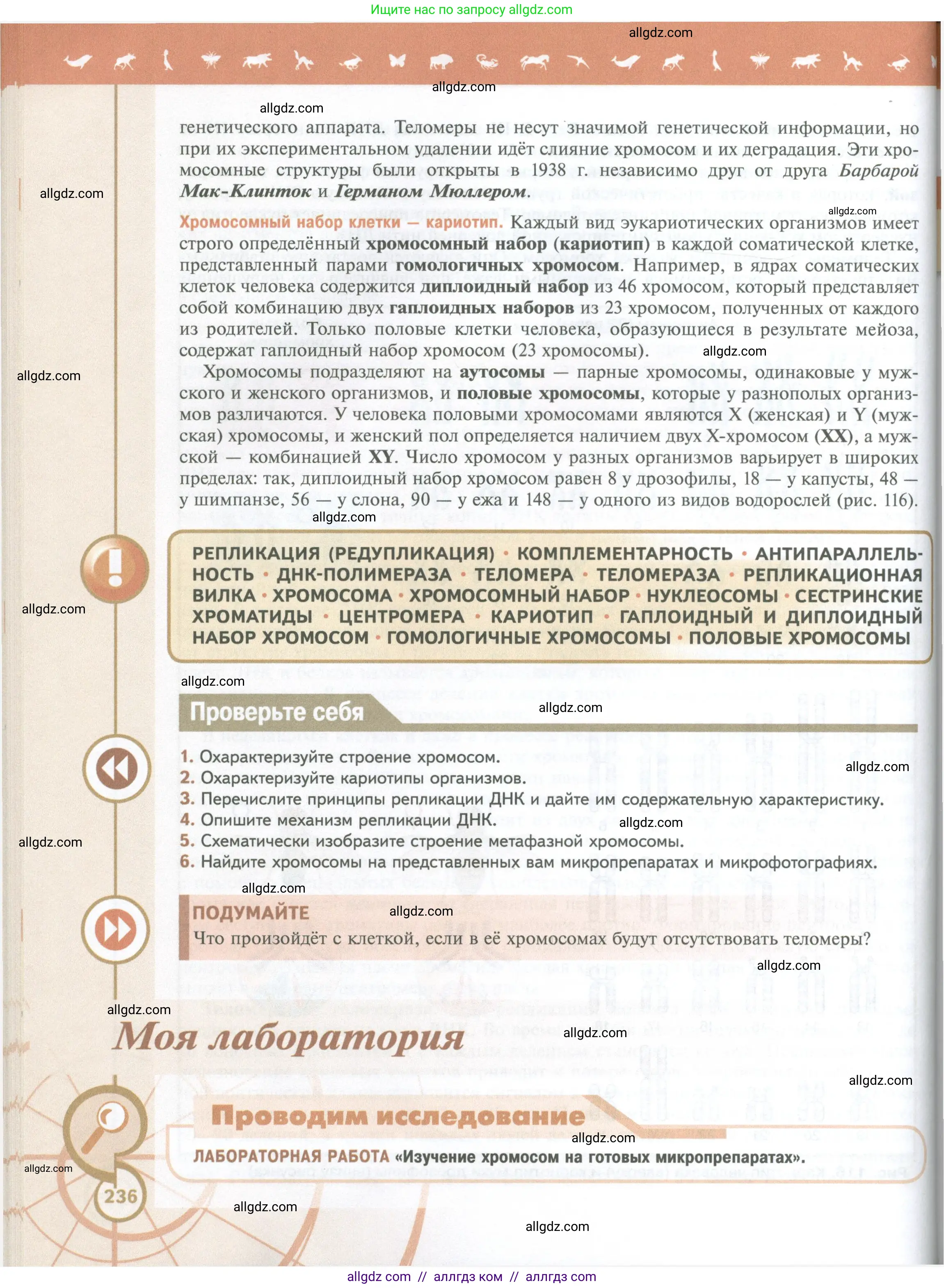 Биология, 10 класс Учебник, авторы: Пасечник Владимир Васильевич, Каменский Андрей Александрович, Рубцов Александр Михайлович, Швецов Глеб Геннадьевич, Абовян Леван Арташесович, Гапонюк Зоя Георгиевна, издательство Просвещение, Москва, 2024, коричневого цвета, Часть 1, страница 236