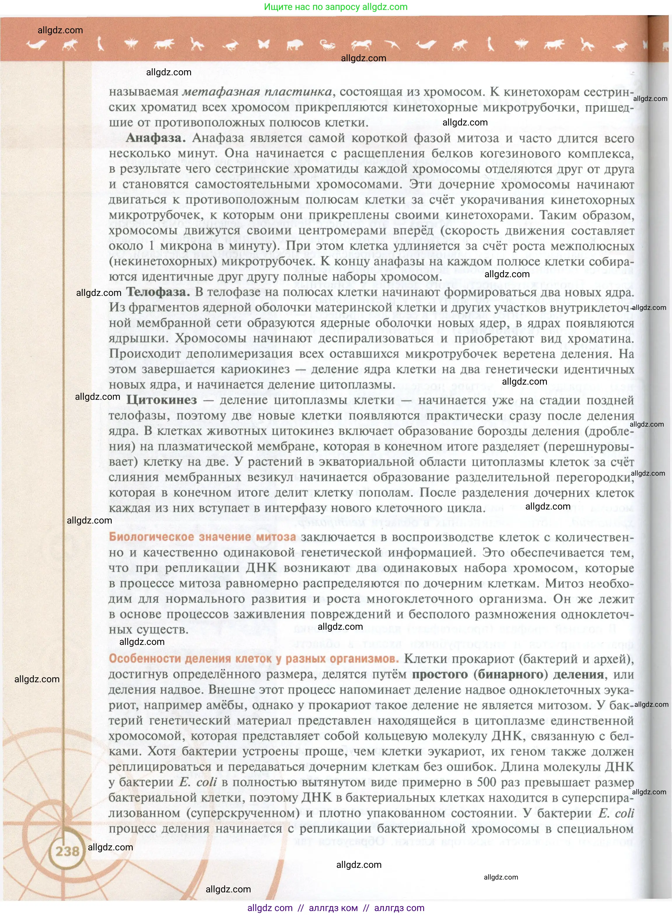 Биология, 10 класс Учебник, авторы: Пасечник Владимир Васильевич, Каменский Андрей Александрович, Рубцов Александр Михайлович, Швецов Глеб Геннадьевич, Абовян Леван Арташесович, Гапонюк Зоя Георгиевна, издательство Просвещение, Москва, 2024, коричневого цвета, страница 238