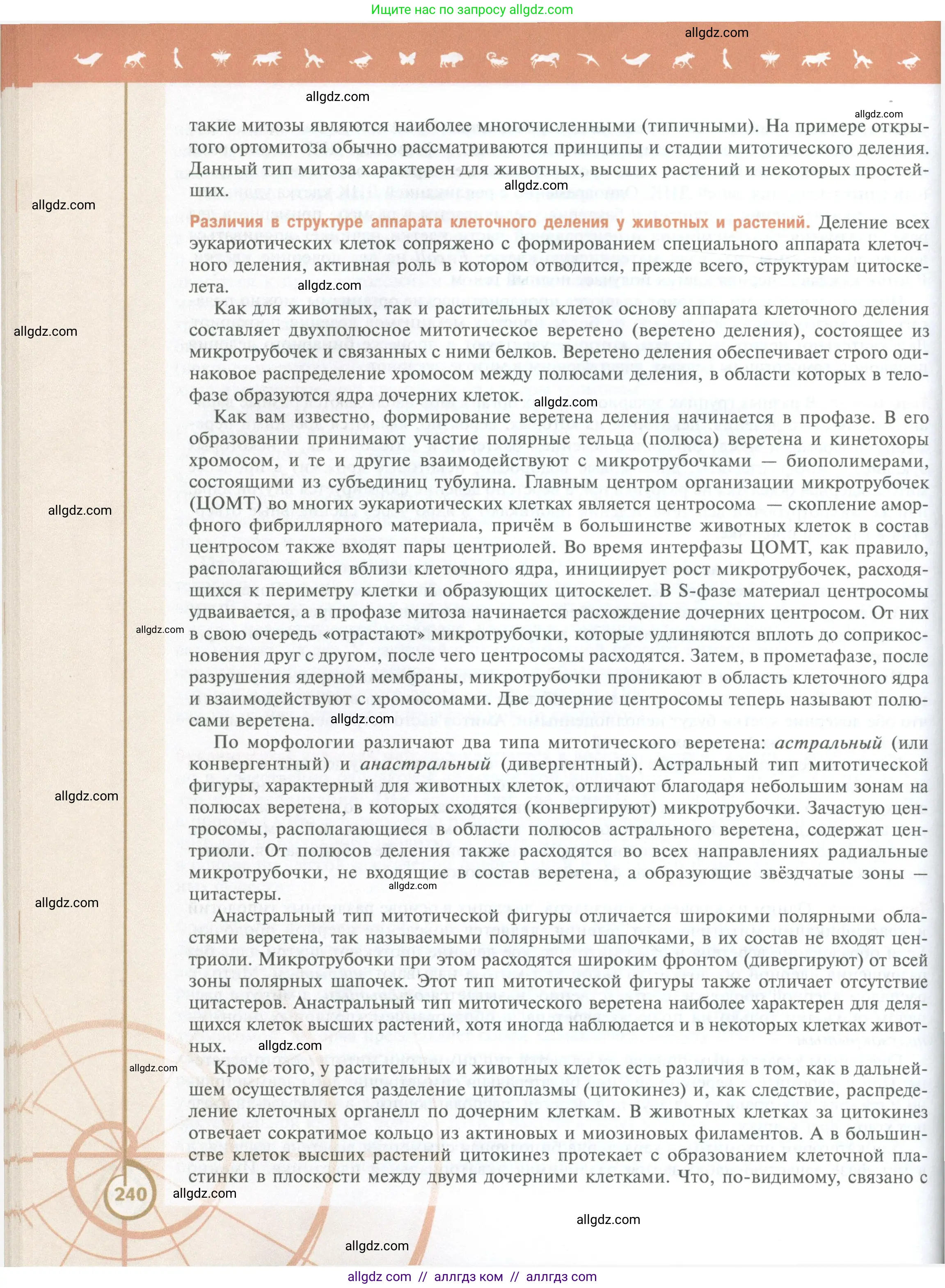 Биология, 10 класс Учебник, авторы: Пасечник Владимир Васильевич, Каменский Андрей Александрович, Рубцов Александр Михайлович, Швецов Глеб Геннадьевич, Абовян Леван Арташесович, Гапонюк Зоя Георгиевна, издательство Просвещение, Москва, 2024, коричневого цвета, страница 240