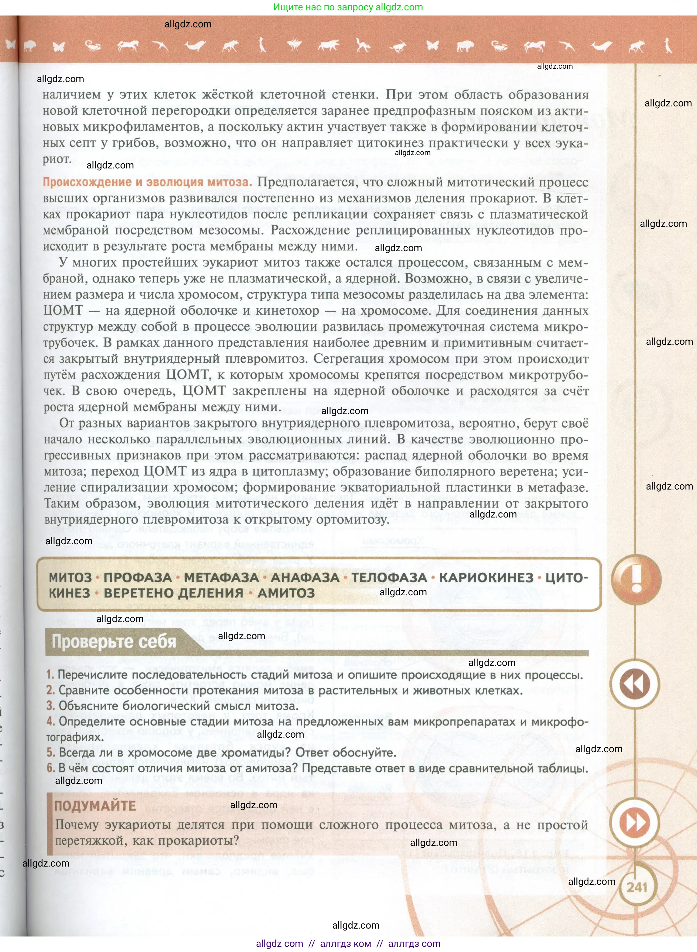 Биология, 10 класс Учебник, авторы: Пасечник Владимир Васильевич, Каменский Андрей Александрович, Рубцов Александр Михайлович, Швецов Глеб Геннадьевич, Абовян Леван Арташесович, Гапонюк Зоя Георгиевна, издательство Просвещение, Москва, 2024, коричневого цвета, Часть 1, страница 241