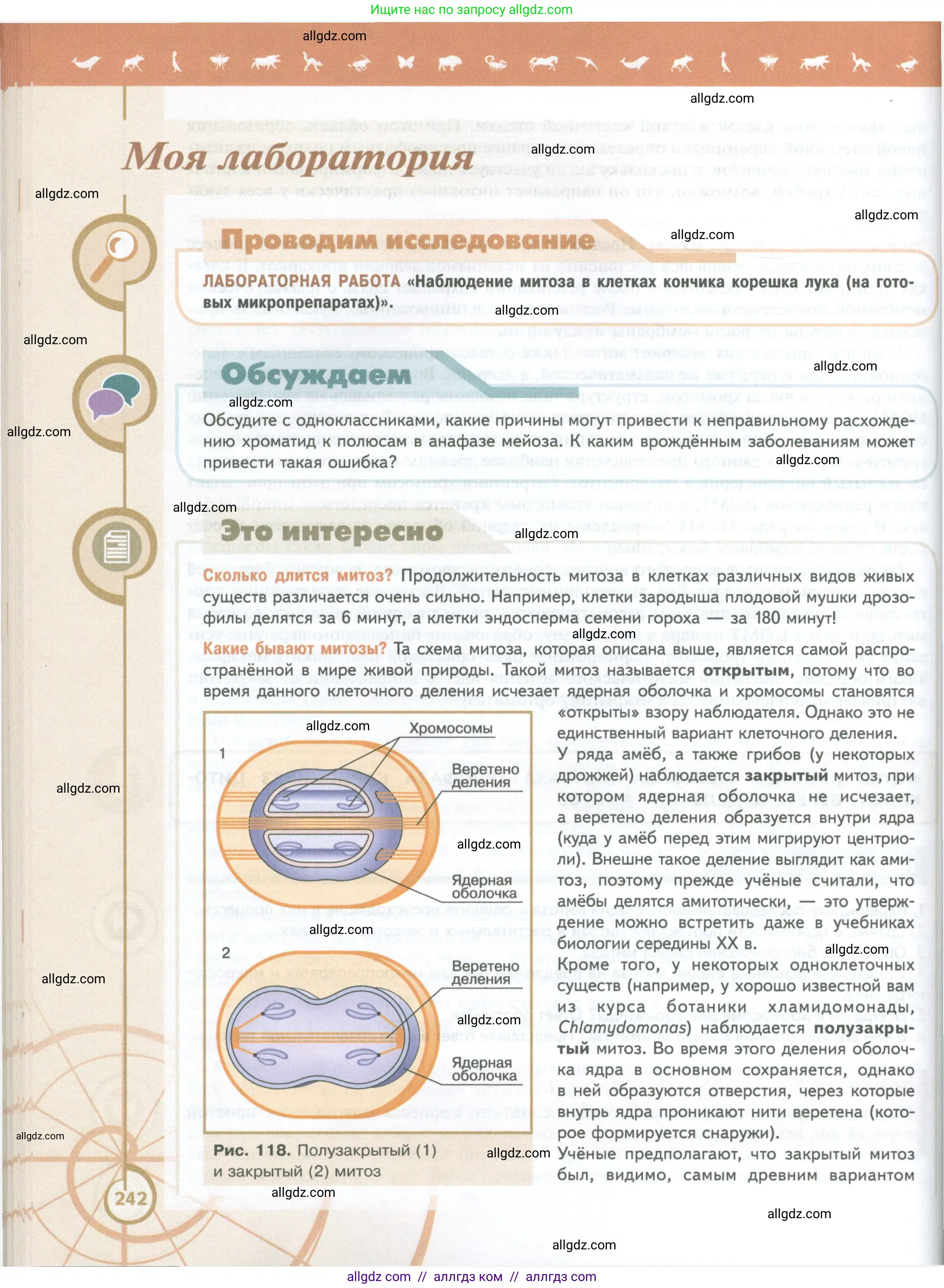 Биология, 10 класс Учебник, авторы: Пасечник Владимир Васильевич, Каменский Андрей Александрович, Рубцов Александр Михайлович, Швецов Глеб Геннадьевич, Абовян Леван Арташесович, Гапонюк Зоя Георгиевна, издательство Просвещение, Москва, 2024, коричневого цвета, Часть 1, страница 242