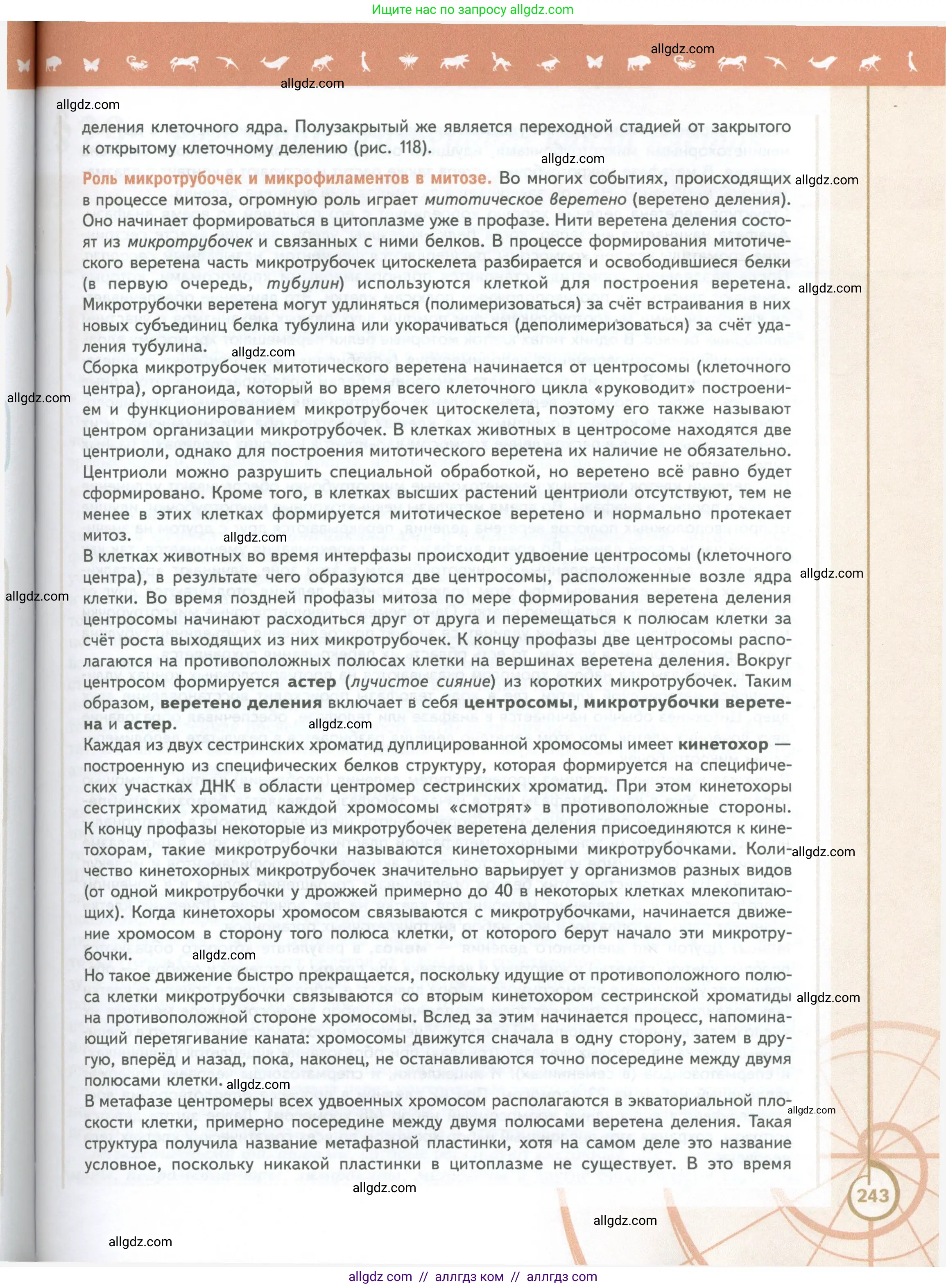 Биология, 10 класс Учебник, авторы: Пасечник Владимир Васильевич, Каменский Андрей Александрович, Рубцов Александр Михайлович, Швецов Глеб Геннадьевич, Абовян Леван Арташесович, Гапонюк Зоя Георгиевна, издательство Просвещение, Москва, 2024, коричневого цвета, страница 243