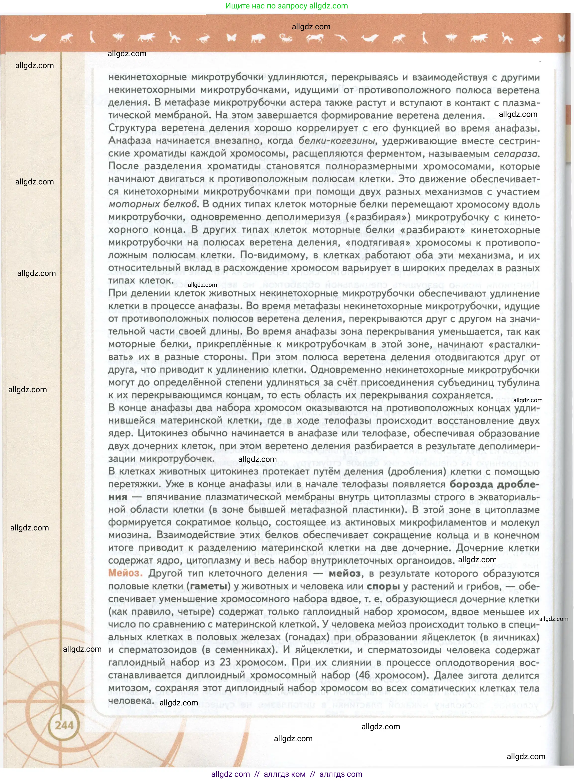 Биология, 10 класс Учебник, авторы: Пасечник Владимир Васильевич, Каменский Андрей Александрович, Рубцов Александр Михайлович, Швецов Глеб Геннадьевич, Абовян Леван Арташесович, Гапонюк Зоя Георгиевна, издательство Просвещение, Москва, 2024, коричневого цвета, страница 244