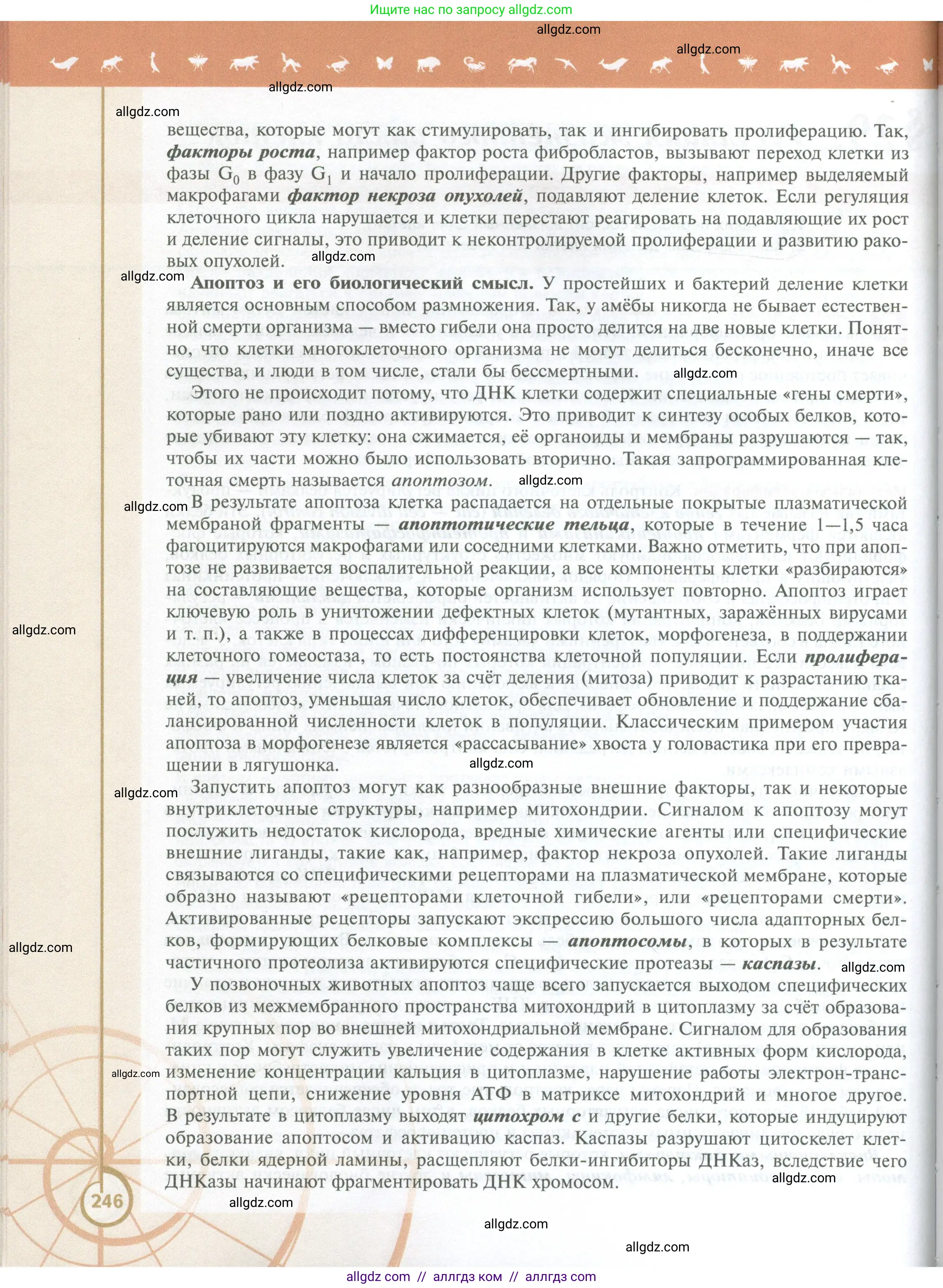 Биология, 10 класс Учебник, авторы: Пасечник Владимир Васильевич, Каменский Андрей Александрович, Рубцов Александр Михайлович, Швецов Глеб Геннадьевич, Абовян Леван Арташесович, Гапонюк Зоя Георгиевна, издательство Просвещение, Москва, 2024, коричневого цвета, страница 246