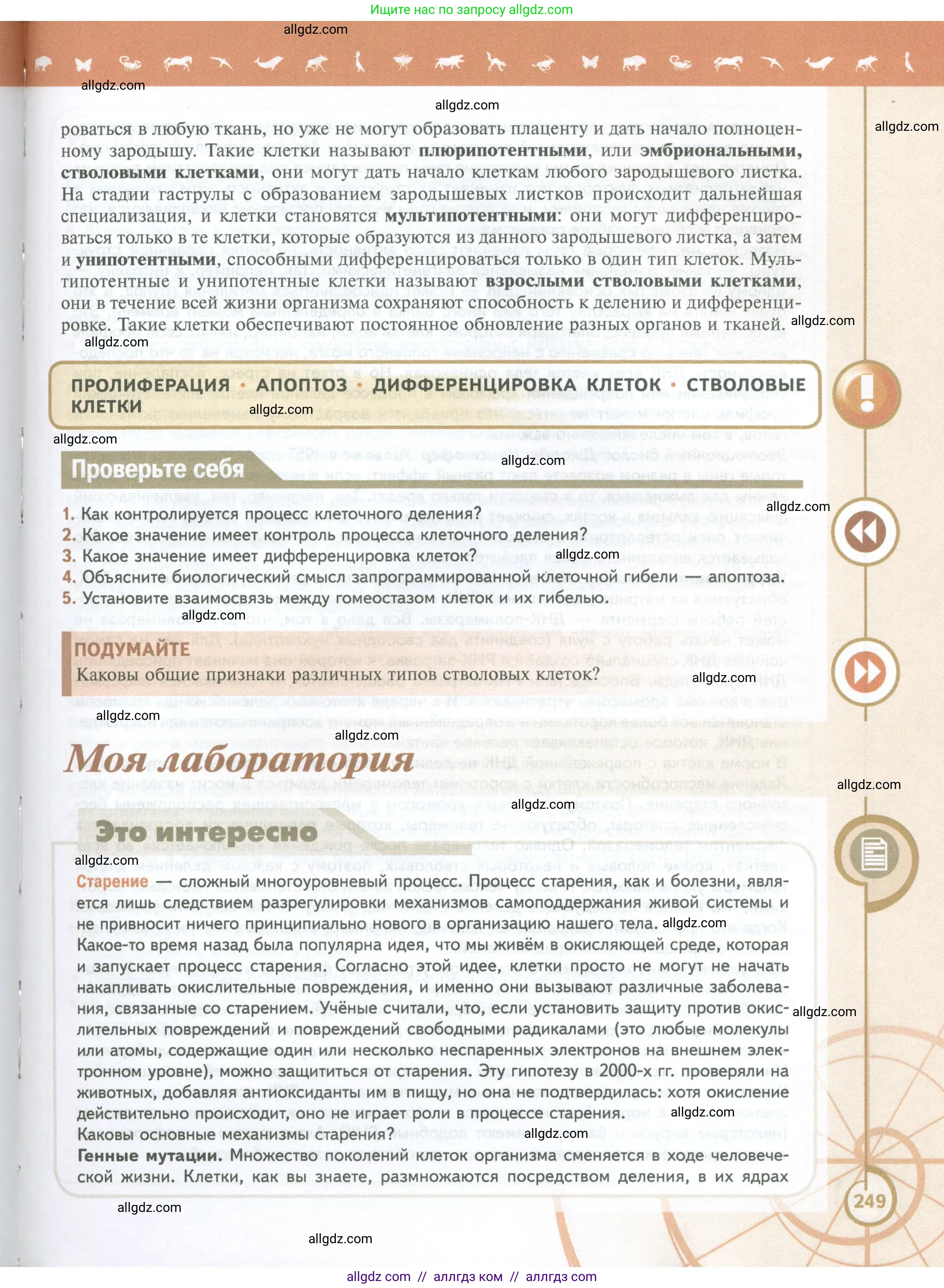 Биология, 10 класс Учебник, авторы: Пасечник Владимир Васильевич, Каменский Андрей Александрович, Рубцов Александр Михайлович, Швецов Глеб Геннадьевич, Абовян Леван Арташесович, Гапонюк Зоя Георгиевна, издательство Просвещение, Москва, 2024, коричневого цвета, Часть 1, страница 249