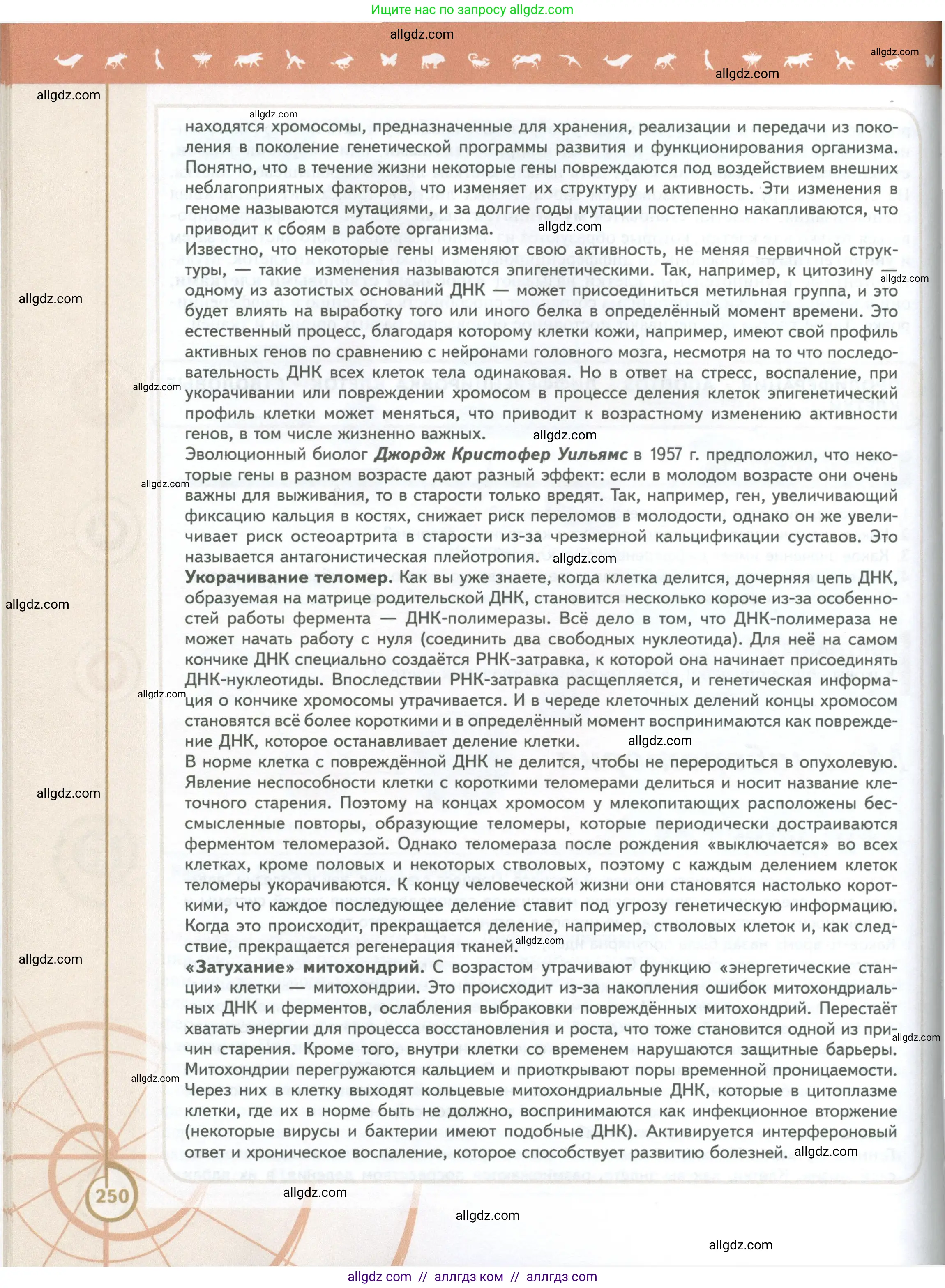 Биология, 10 класс Учебник, авторы: Пасечник Владимир Васильевич, Каменский Андрей Александрович, Рубцов Александр Михайлович, Швецов Глеб Геннадьевич, Абовян Леван Арташесович, Гапонюк Зоя Георгиевна, издательство Просвещение, Москва, 2024, коричневого цвета, страница 250