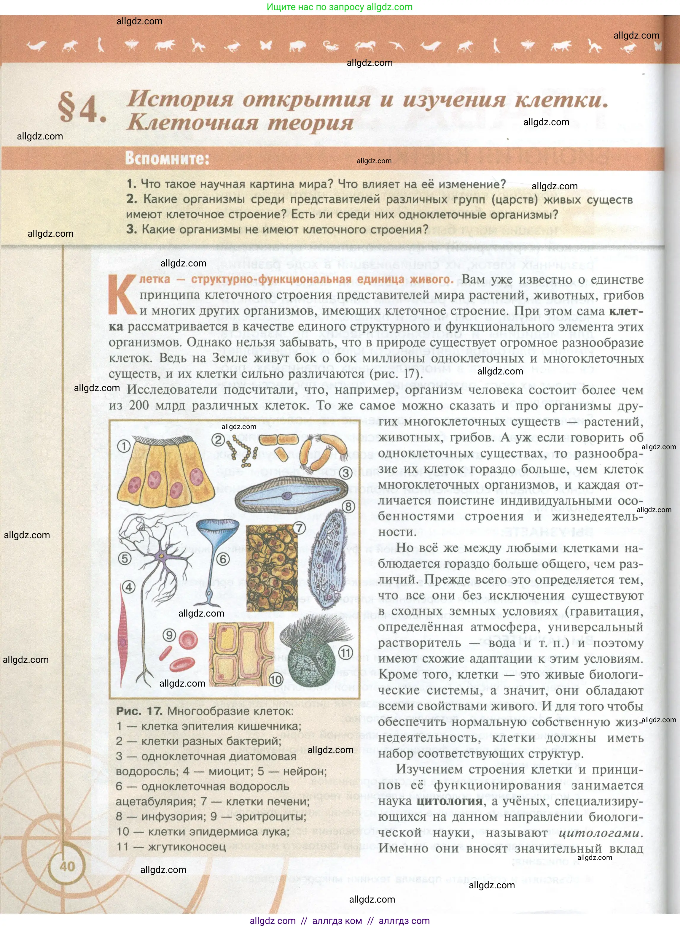 Биология, 10 класс Учебник, авторы: Пасечник Владимир Васильевич, Каменский Андрей Александрович, Рубцов Александр Михайлович, Швецов Глеб Геннадьевич, Абовян Леван Арташесович, Гапонюк Зоя Георгиевна, издательство Просвещение, Москва, 2024, коричневого цвета, Часть 1, страница 40