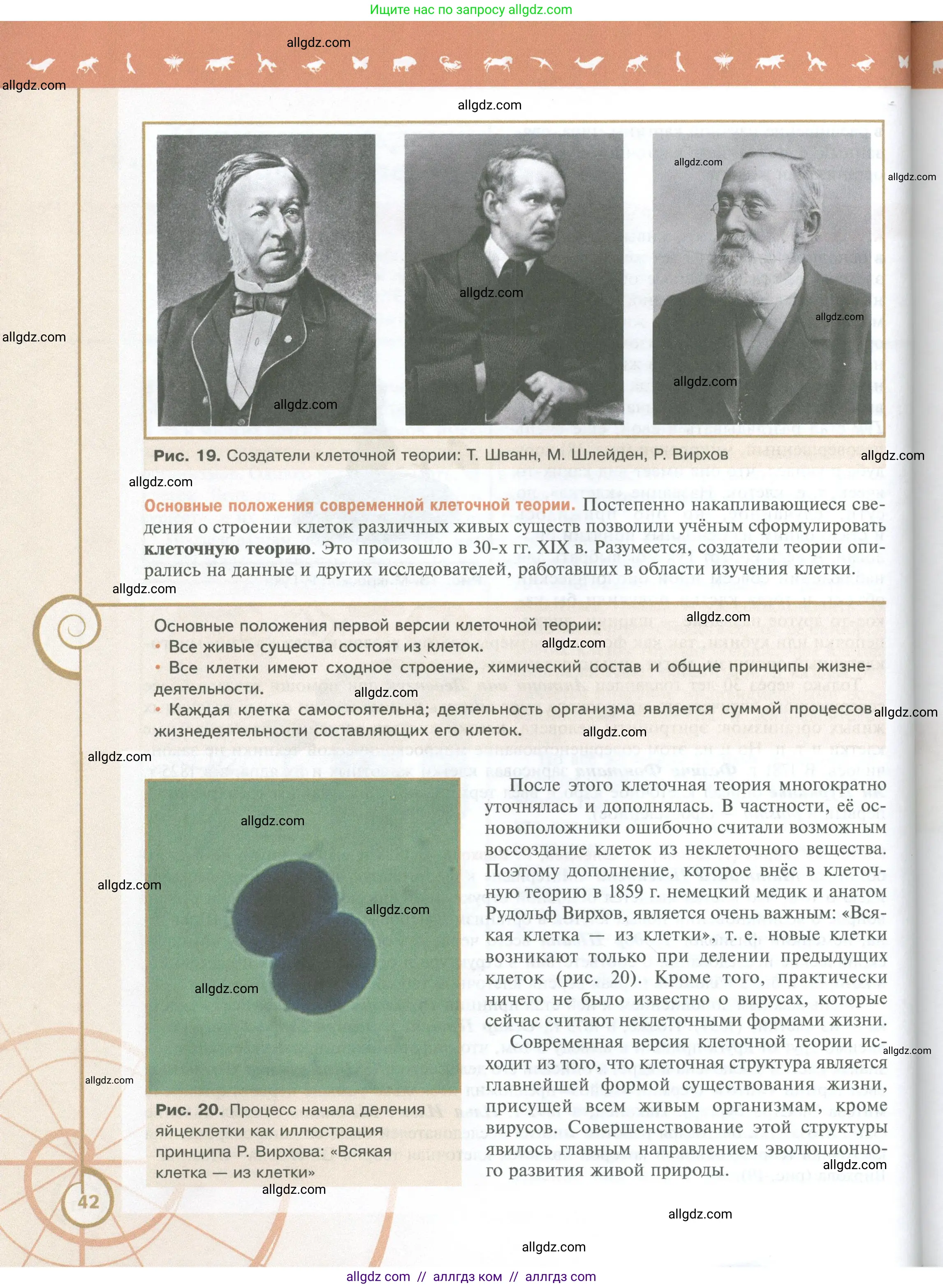 Биология, 10 класс Учебник, авторы: Пасечник Владимир Васильевич, Каменский Андрей Александрович, Рубцов Александр Михайлович, Швецов Глеб Геннадьевич, Абовян Леван Арташесович, Гапонюк Зоя Георгиевна, издательство Просвещение, Москва, 2024, коричневого цвета, страница 42