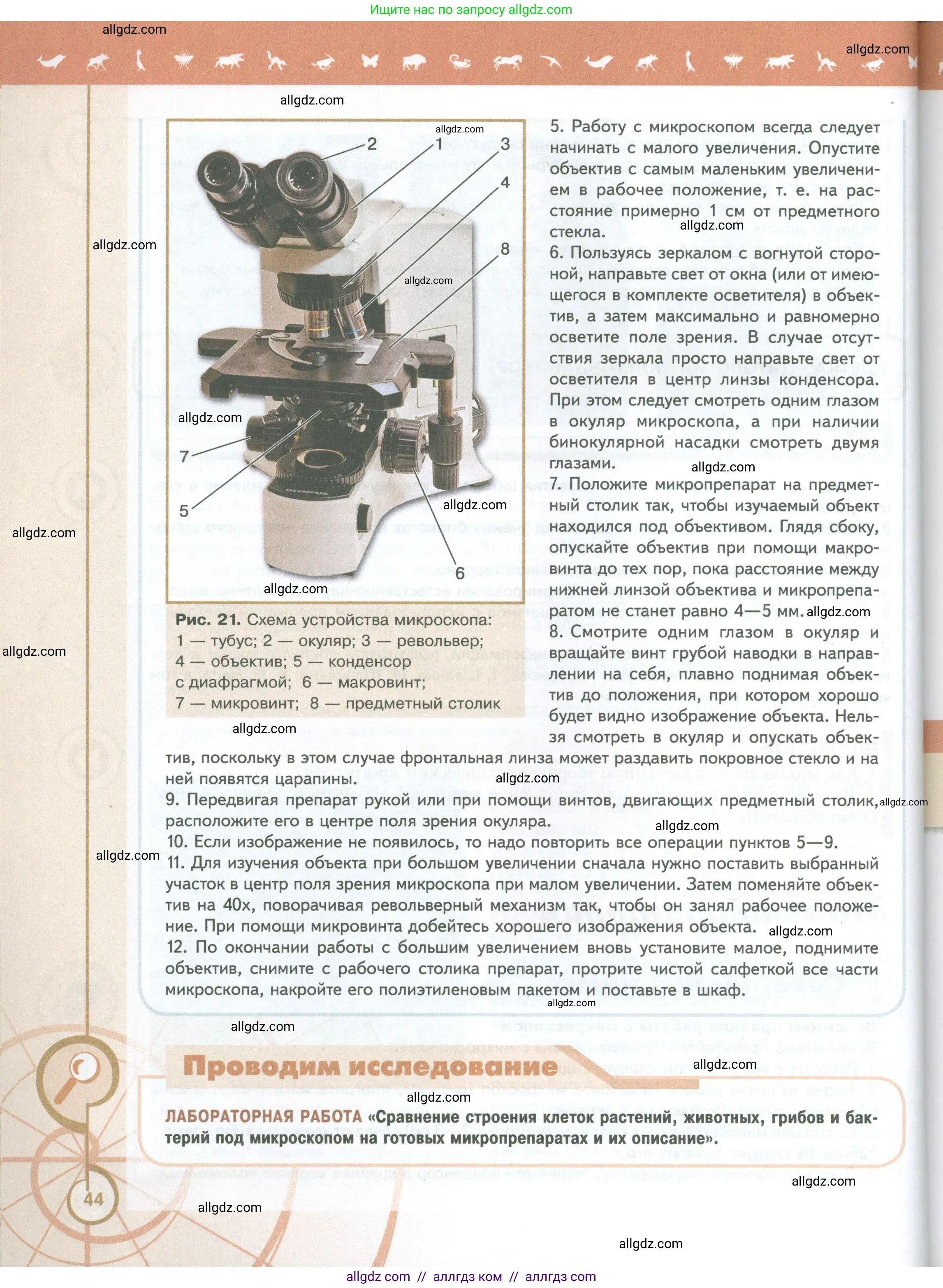 Биология, 10 класс Учебник, авторы: Пасечник Владимир Васильевич, Каменский Андрей Александрович, Рубцов Александр Михайлович, Швецов Глеб Геннадьевич, Абовян Леван Арташесович, Гапонюк Зоя Георгиевна, издательство Просвещение, Москва, 2024, коричневого цвета, страница 44