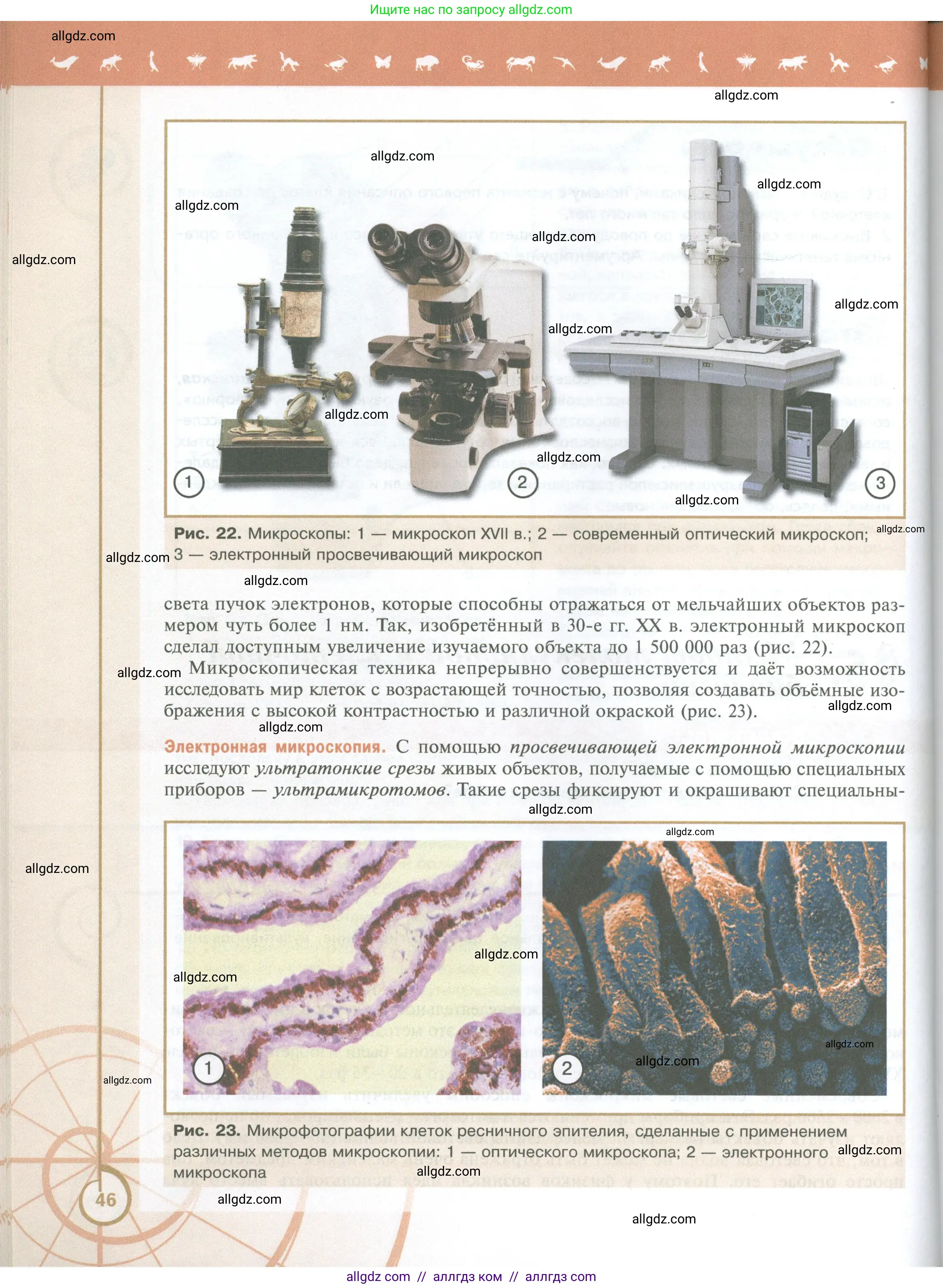 Биология, 10 класс Учебник, авторы: Пасечник Владимир Васильевич, Каменский Андрей Александрович, Рубцов Александр Михайлович, Швецов Глеб Геннадьевич, Абовян Леван Арташесович, Гапонюк Зоя Георгиевна, издательство Просвещение, Москва, 2024, коричневого цвета, страница 46
