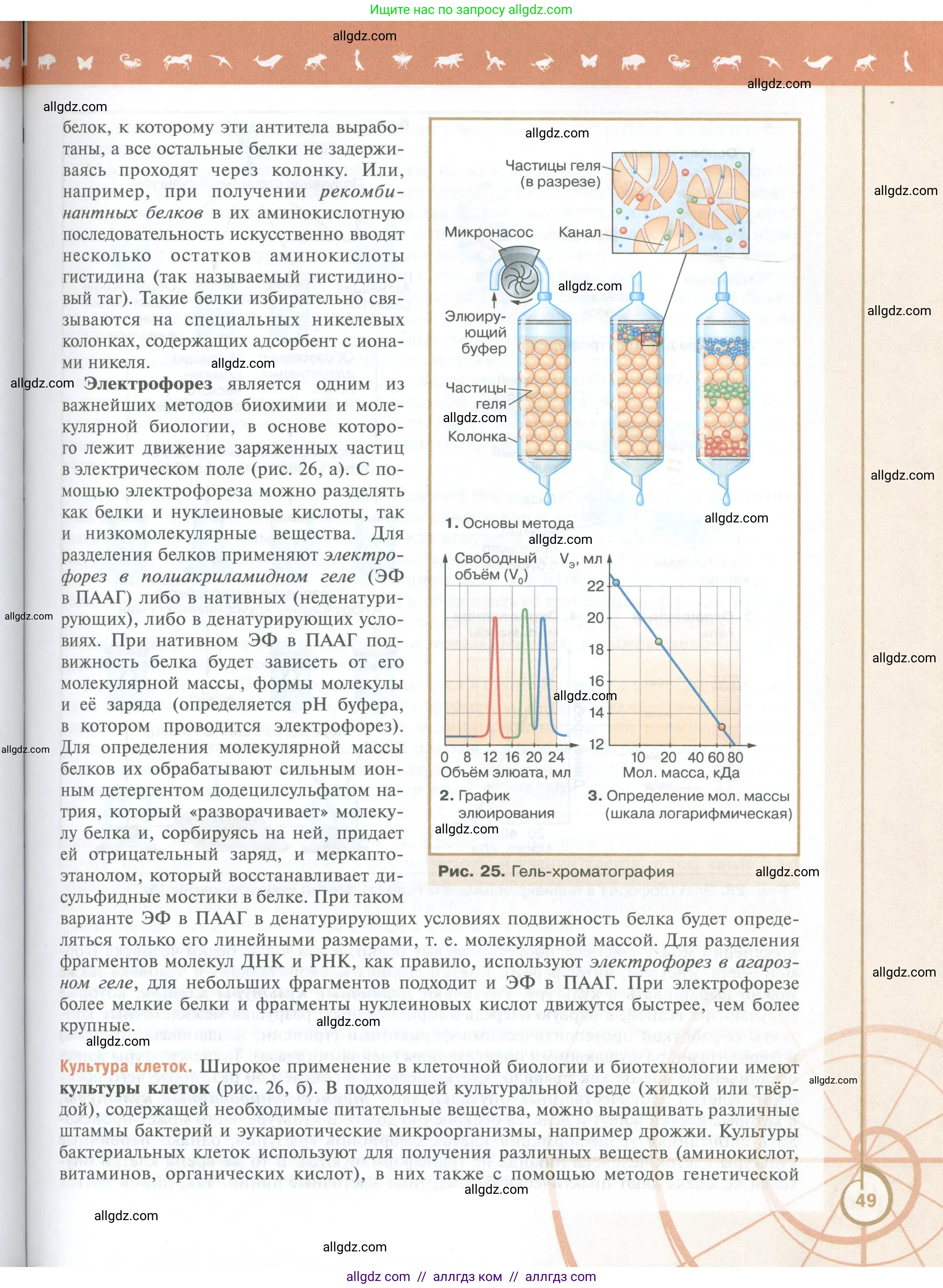Биология, 10 класс Учебник, авторы: Пасечник Владимир Васильевич, Каменский Андрей Александрович, Рубцов Александр Михайлович, Швецов Глеб Геннадьевич, Абовян Леван Арташесович, Гапонюк Зоя Георгиевна, издательство Просвещение, Москва, 2024, коричневого цвета, страница 49