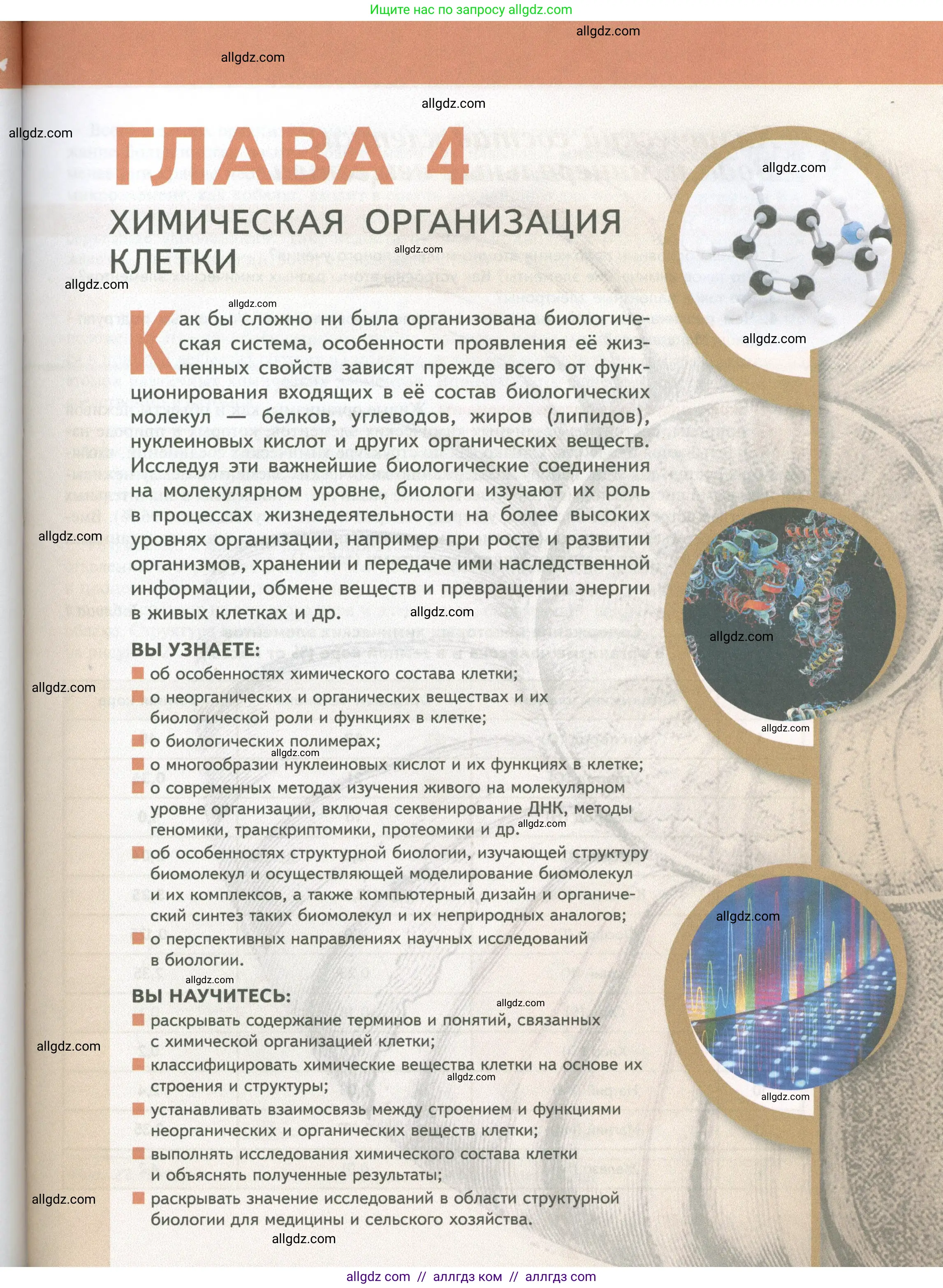 Биология, 10 класс Учебник, авторы: Пасечник Владимир Васильевич, Каменский Андрей Александрович, Рубцов Александр Михайлович, Швецов Глеб Геннадьевич, Абовян Леван Арташесович, Гапонюк Зоя Георгиевна, издательство Просвещение, Москва, 2024, коричневого цвета, страница 55