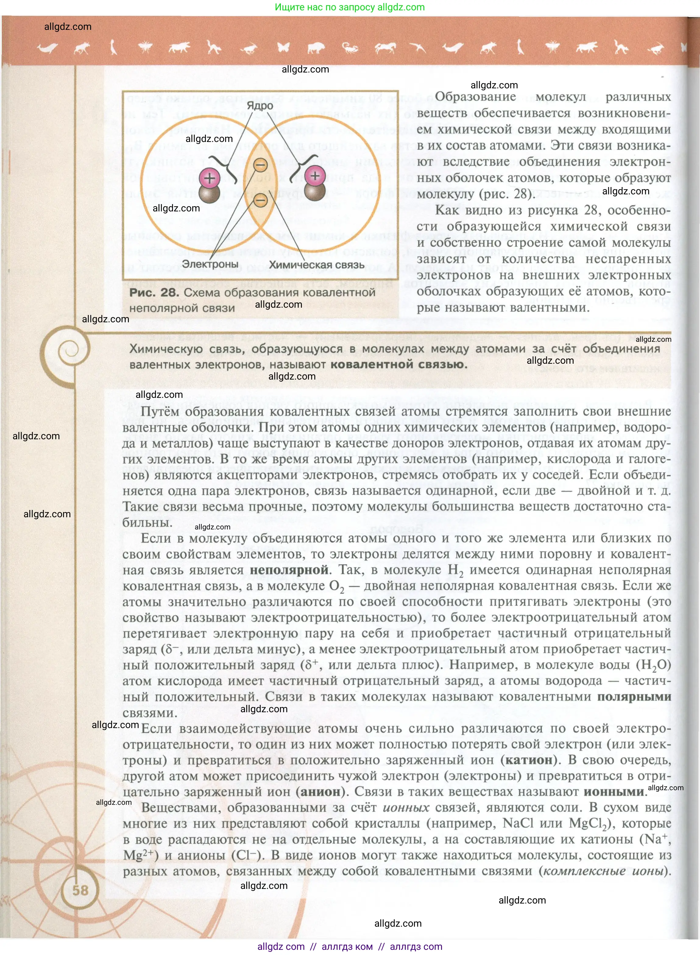 Биология, 10 класс Учебник, авторы: Пасечник Владимир Васильевич, Каменский Андрей Александрович, Рубцов Александр Михайлович, Швецов Глеб Геннадьевич, Абовян Леван Арташесович, Гапонюк Зоя Георгиевна, издательство Просвещение, Москва, 2024, коричневого цвета, страница 58