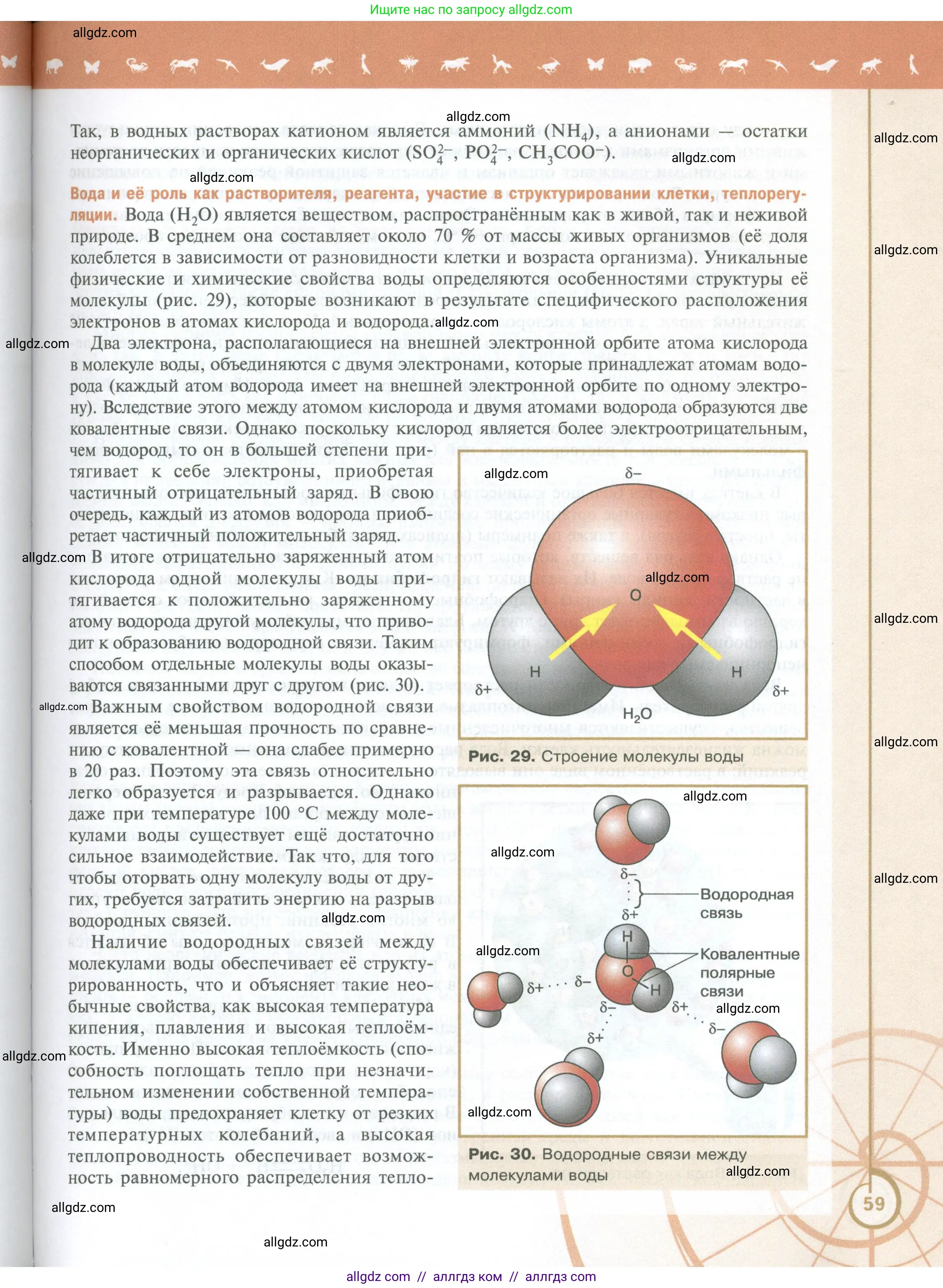 Биология, 10 класс Учебник, авторы: Пасечник Владимир Васильевич, Каменский Андрей Александрович, Рубцов Александр Михайлович, Швецов Глеб Геннадьевич, Абовян Леван Арташесович, Гапонюк Зоя Георгиевна, издательство Просвещение, Москва, 2024, коричневого цвета, страница 59