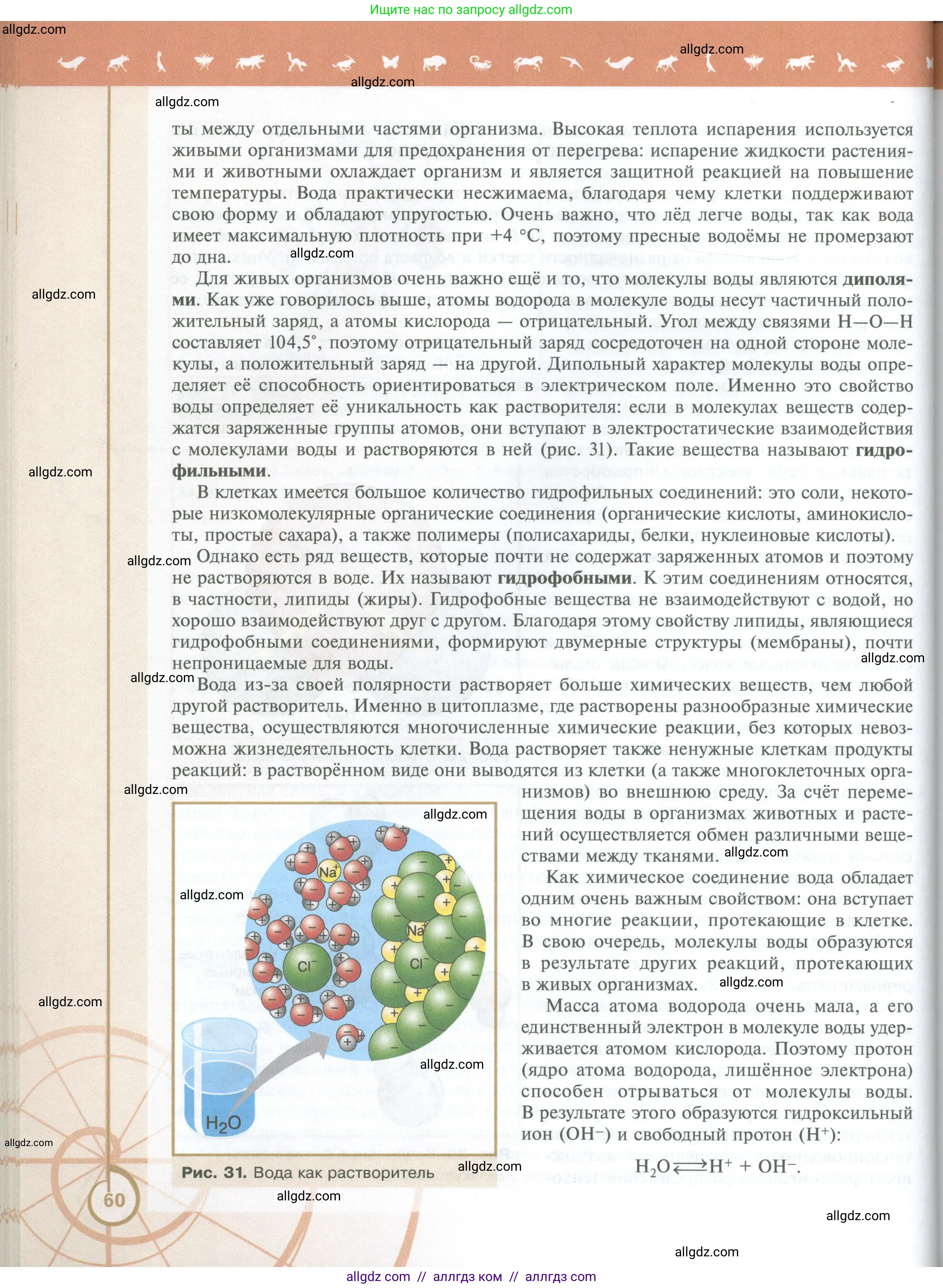 Биология, 10 класс Учебник, авторы: Пасечник Владимир Васильевич, Каменский Андрей Александрович, Рубцов Александр Михайлович, Швецов Глеб Геннадьевич, Абовян Леван Арташесович, Гапонюк Зоя Георгиевна, издательство Просвещение, Москва, 2024, коричневого цвета, страница 60