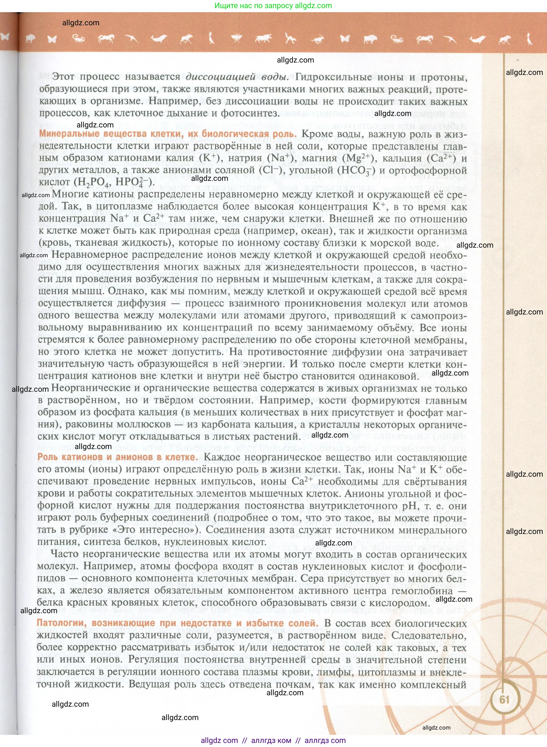 Биология, 10 класс Учебник, авторы: Пасечник Владимир Васильевич, Каменский Андрей Александрович, Рубцов Александр Михайлович, Швецов Глеб Геннадьевич, Абовян Леван Арташесович, Гапонюк Зоя Георгиевна, издательство Просвещение, Москва, 2024, коричневого цвета, страница 61