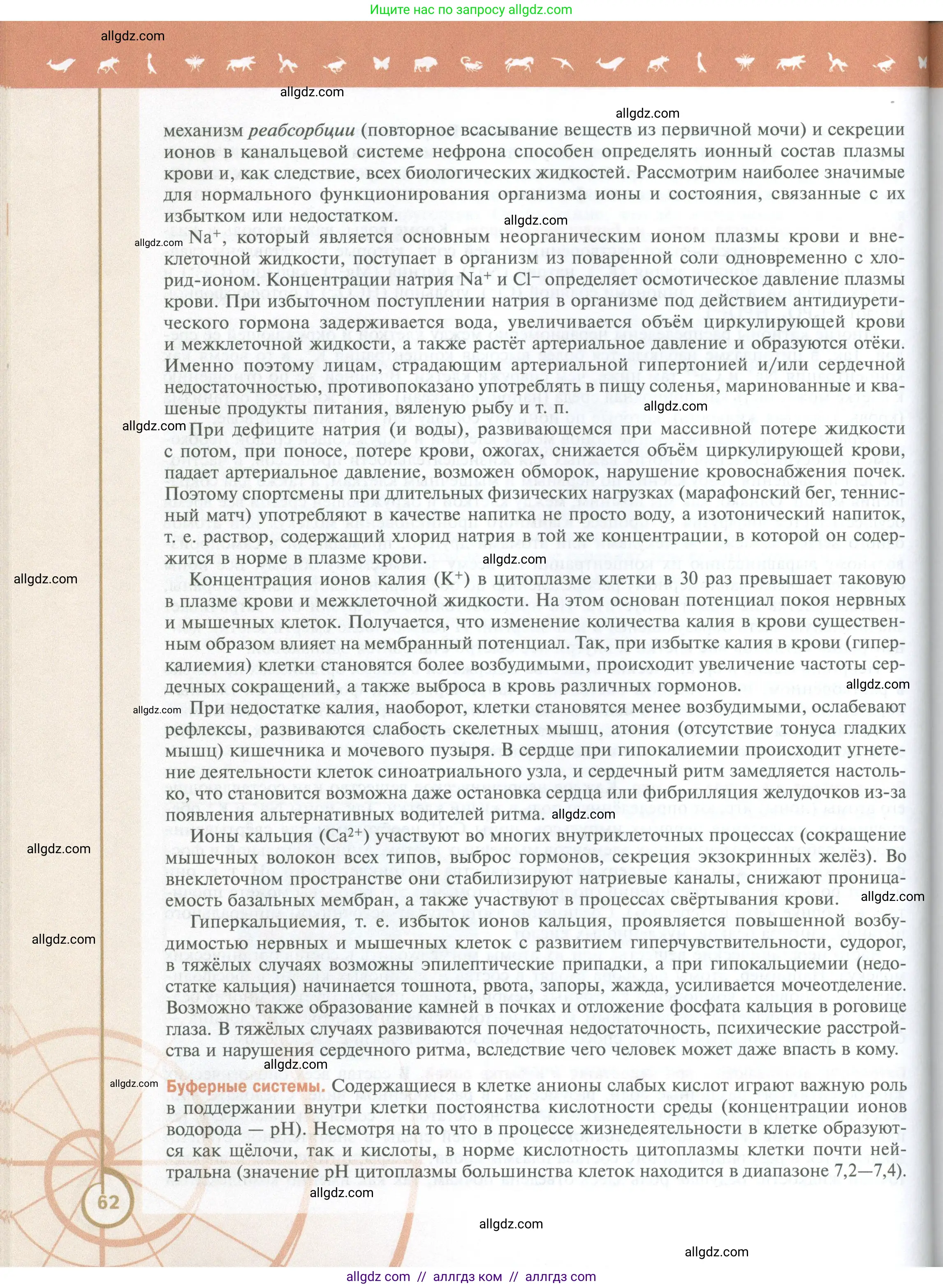 Биология, 10 класс Учебник, авторы: Пасечник Владимир Васильевич, Каменский Андрей Александрович, Рубцов Александр Михайлович, Швецов Глеб Геннадьевич, Абовян Леван Арташесович, Гапонюк Зоя Георгиевна, издательство Просвещение, Москва, 2024, коричневого цвета, страница 62