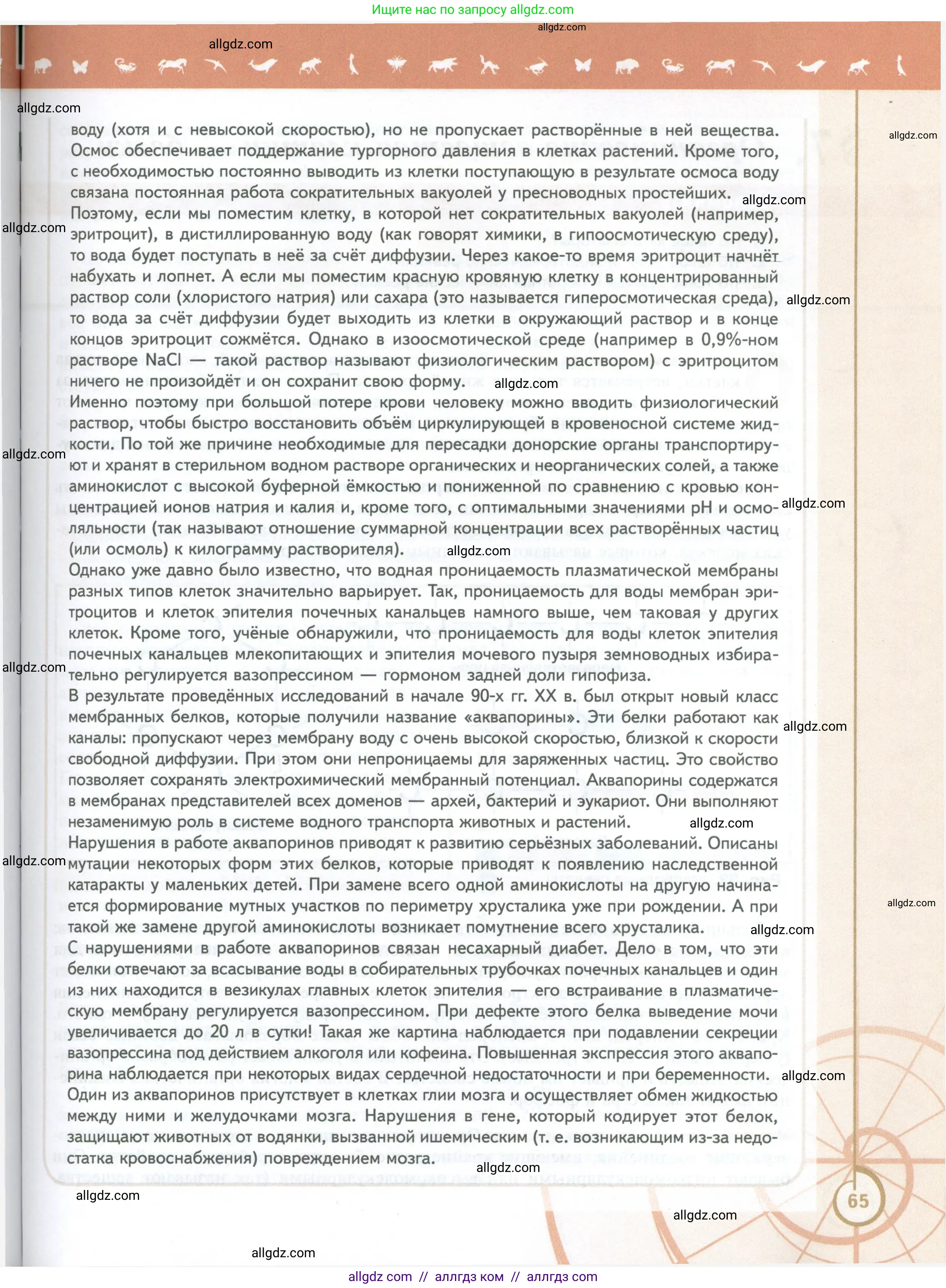 Биология, 10 класс Учебник, авторы: Пасечник Владимир Васильевич, Каменский Андрей Александрович, Рубцов Александр Михайлович, Швецов Глеб Геннадьевич, Абовян Леван Арташесович, Гапонюк Зоя Георгиевна, издательство Просвещение, Москва, 2024, коричневого цвета, страница 65