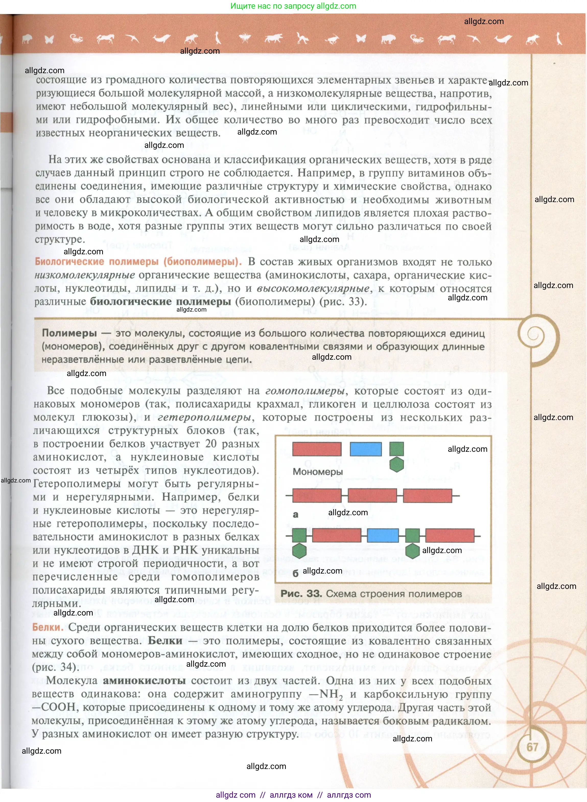 Биология, 10 класс Учебник, авторы: Пасечник Владимир Васильевич, Каменский Андрей Александрович, Рубцов Александр Михайлович, Швецов Глеб Геннадьевич, Абовян Леван Арташесович, Гапонюк Зоя Георгиевна, издательство Просвещение, Москва, 2024, коричневого цвета, страница 67