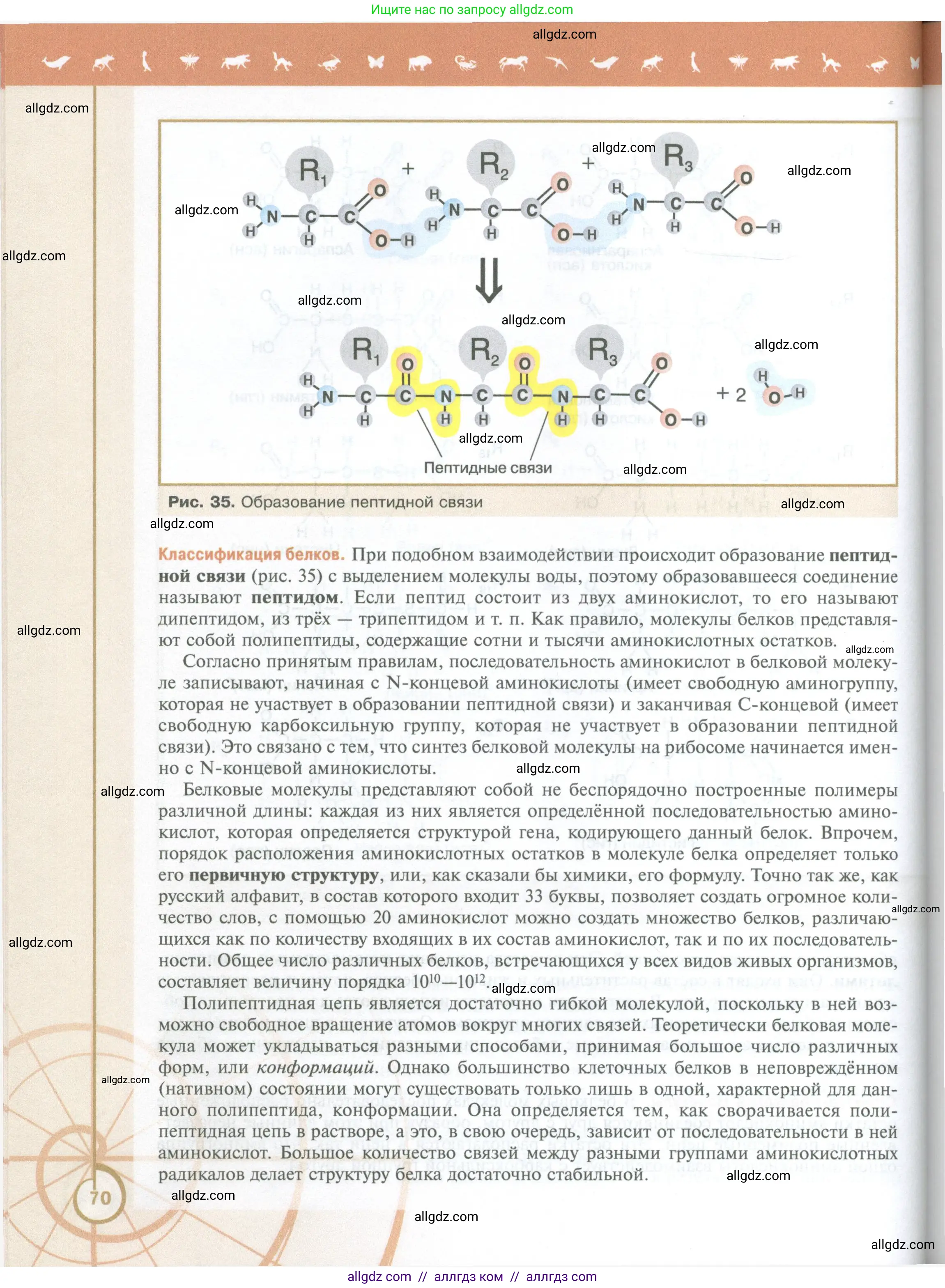 Биология, 10 класс Учебник, авторы: Пасечник Владимир Васильевич, Каменский Андрей Александрович, Рубцов Александр Михайлович, Швецов Глеб Геннадьевич, Абовян Леван Арташесович, Гапонюк Зоя Георгиевна, издательство Просвещение, Москва, 2024, коричневого цвета, страница 70