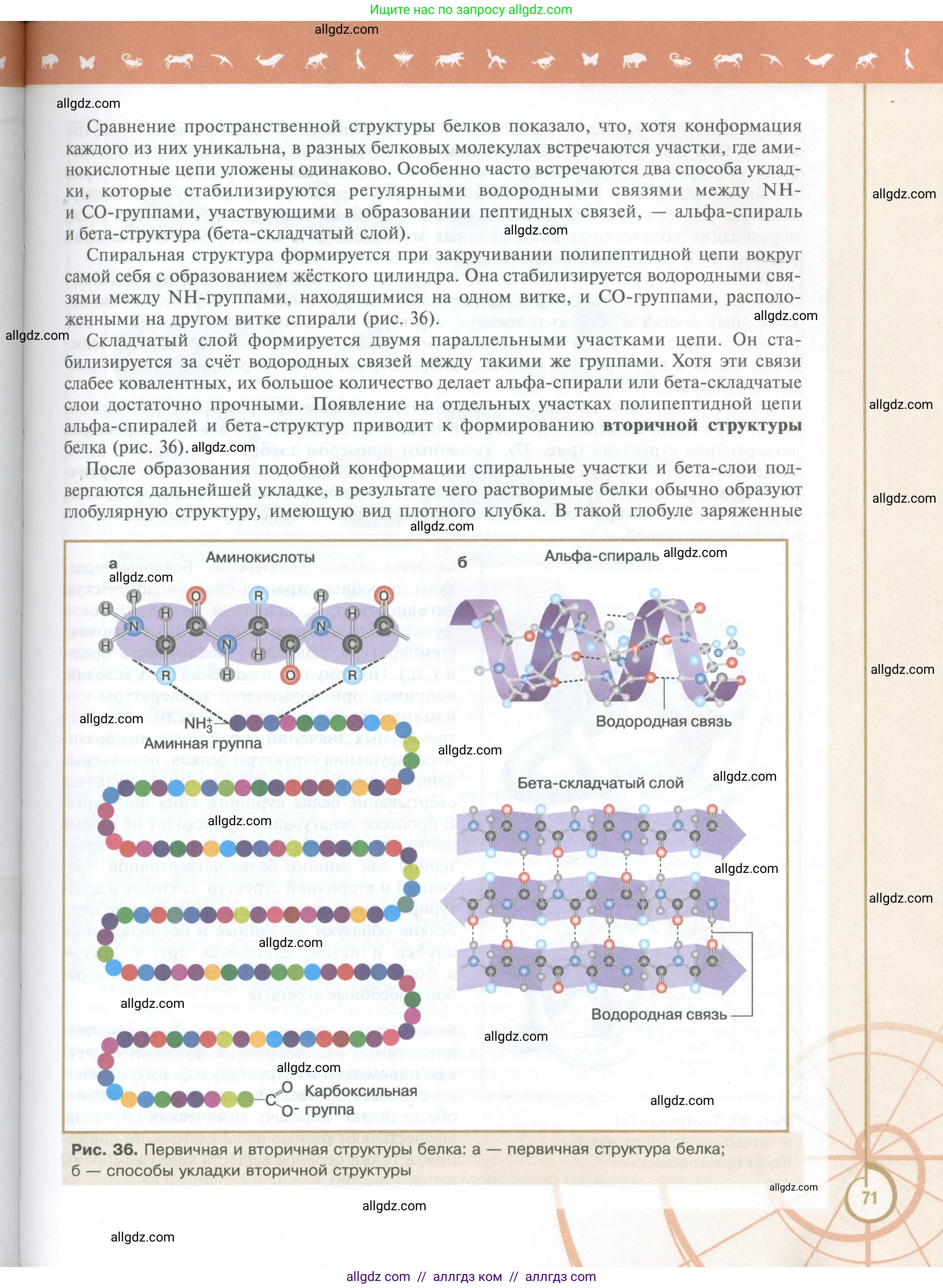 Биология, 10 класс Учебник, авторы: Пасечник Владимир Васильевич, Каменский Андрей Александрович, Рубцов Александр Михайлович, Швецов Глеб Геннадьевич, Абовян Леван Арташесович, Гапонюк Зоя Георгиевна, издательство Просвещение, Москва, 2024, коричневого цвета, страница 71