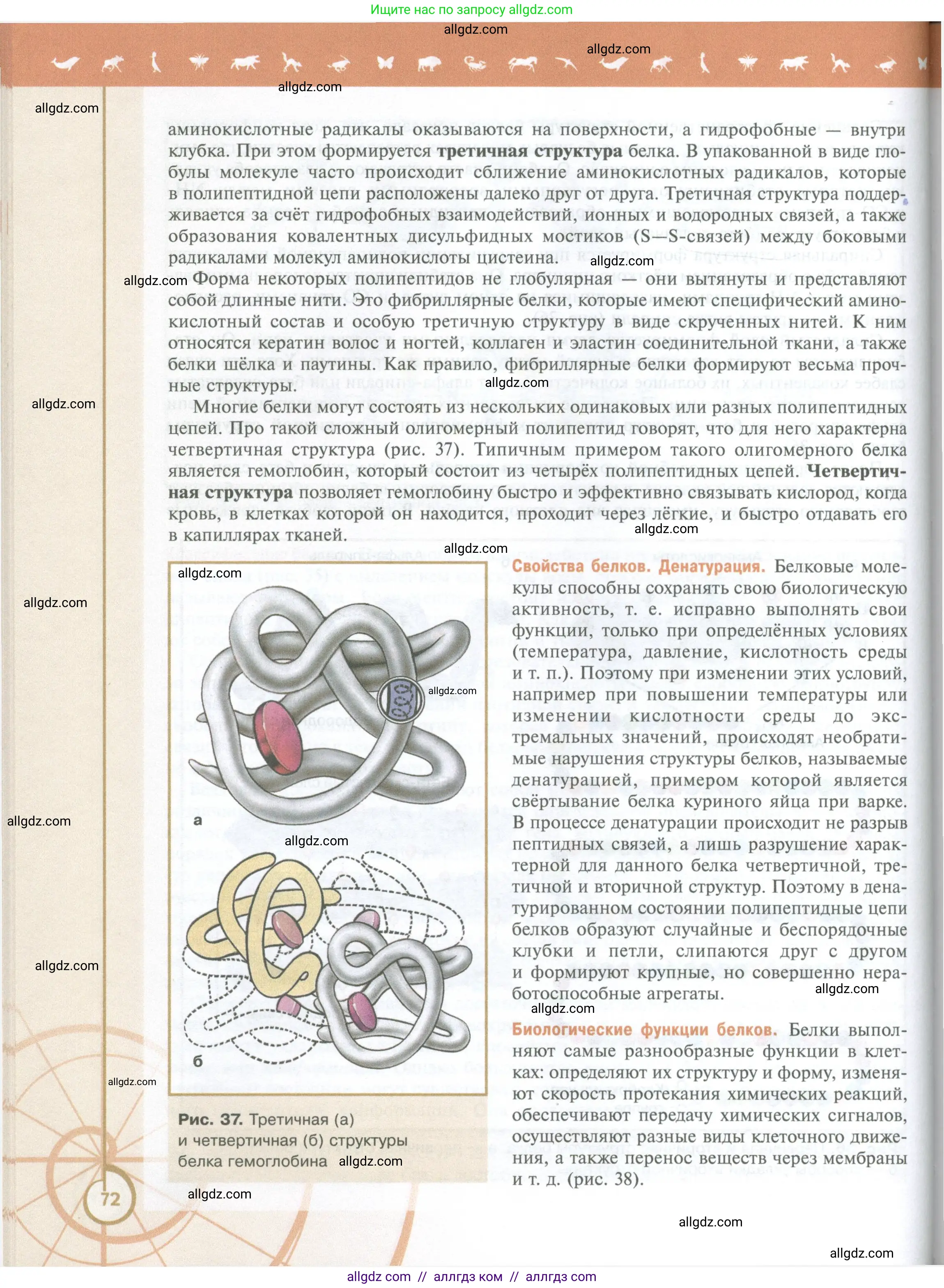 Биология, 10 класс Учебник, авторы: Пасечник Владимир Васильевич, Каменский Андрей Александрович, Рубцов Александр Михайлович, Швецов Глеб Геннадьевич, Абовян Леван Арташесович, Гапонюк Зоя Георгиевна, издательство Просвещение, Москва, 2024, коричневого цвета, страница 72