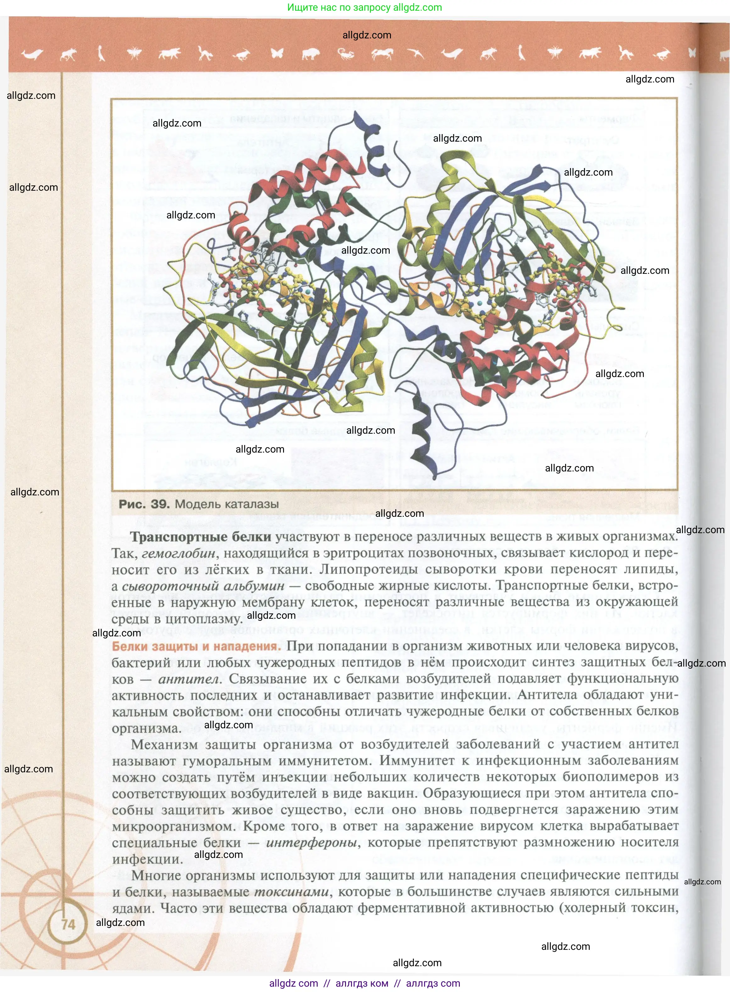 Биология, 10 класс Учебник, авторы: Пасечник Владимир Васильевич, Каменский Андрей Александрович, Рубцов Александр Михайлович, Швецов Глеб Геннадьевич, Абовян Леван Арташесович, Гапонюк Зоя Георгиевна, издательство Просвещение, Москва, 2024, коричневого цвета, страница 74