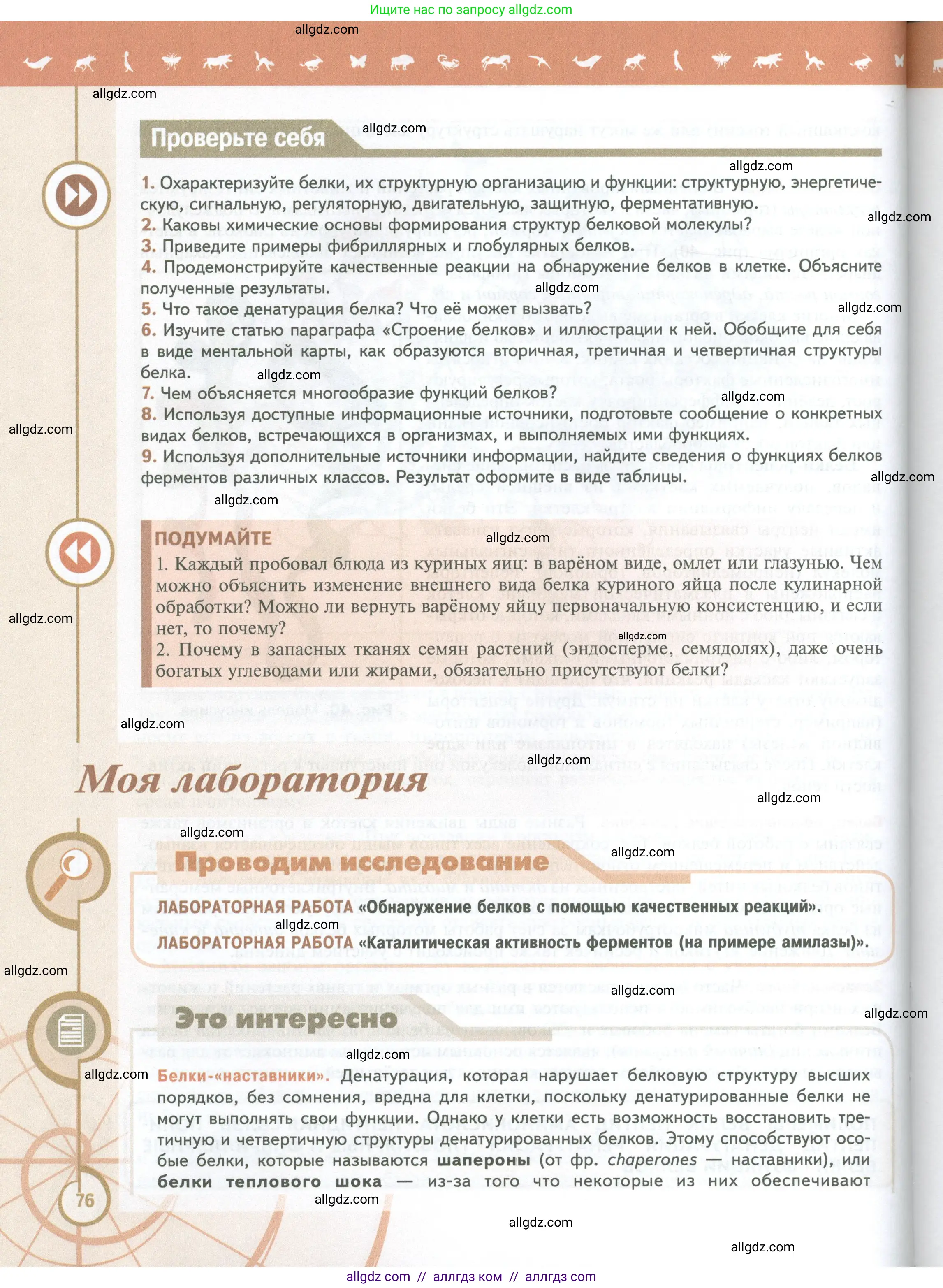 Биология, 10 класс Учебник, авторы: Пасечник Владимир Васильевич, Каменский Андрей Александрович, Рубцов Александр Михайлович, Швецов Глеб Геннадьевич, Абовян Леван Арташесович, Гапонюк Зоя Георгиевна, издательство Просвещение, Москва, 2024, коричневого цвета, Часть 1, страница 76