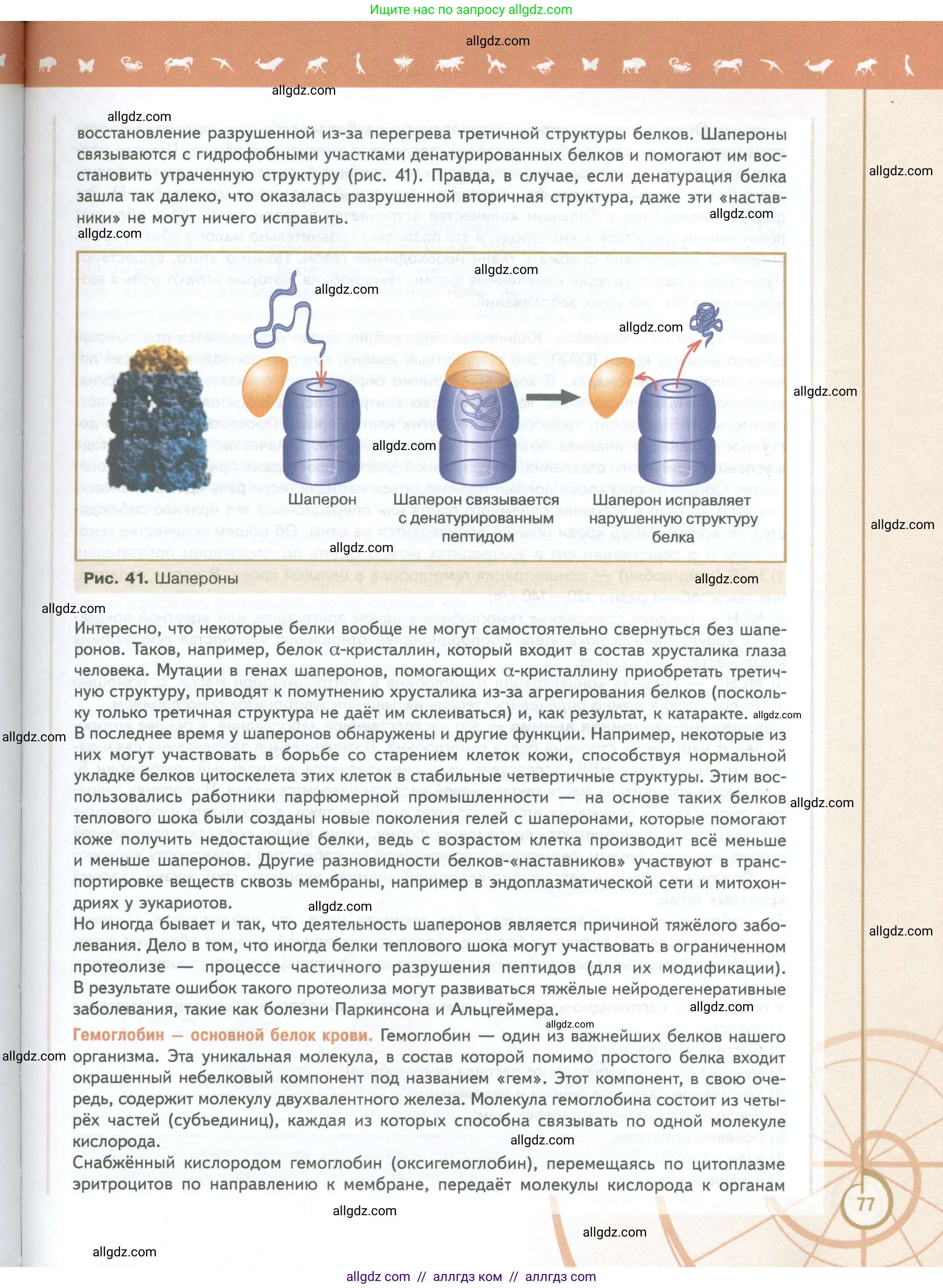 Биология, 10 класс Учебник, авторы: Пасечник Владимир Васильевич, Каменский Андрей Александрович, Рубцов Александр Михайлович, Швецов Глеб Геннадьевич, Абовян Леван Арташесович, Гапонюк Зоя Георгиевна, издательство Просвещение, Москва, 2024, коричневого цвета, страница 77