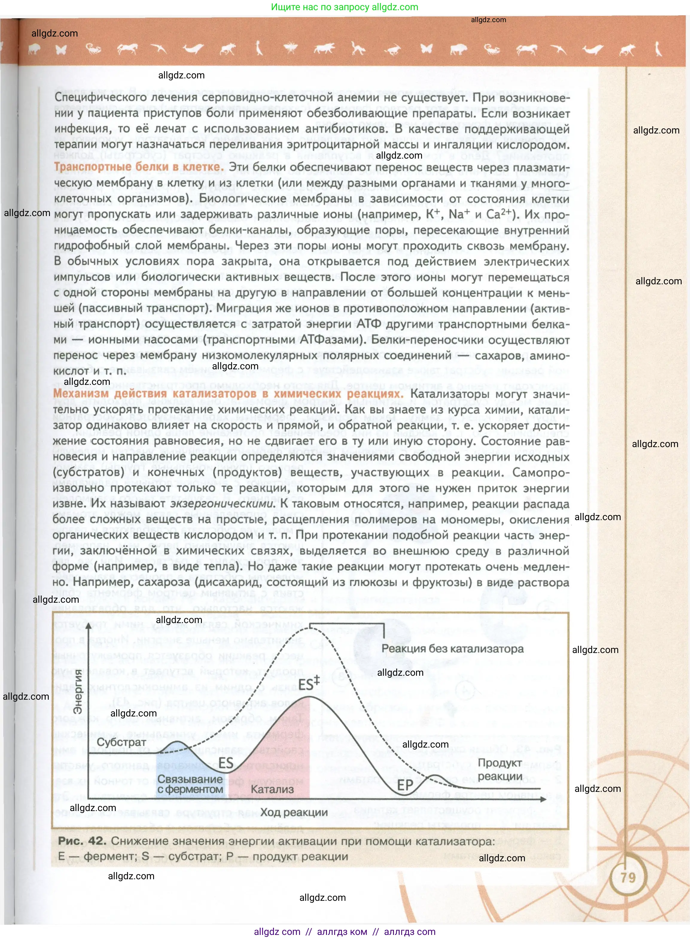 Биология, 10 класс Учебник, авторы: Пасечник Владимир Васильевич, Каменский Андрей Александрович, Рубцов Александр Михайлович, Швецов Глеб Геннадьевич, Абовян Леван Арташесович, Гапонюк Зоя Георгиевна, издательство Просвещение, Москва, 2024, коричневого цвета, страница 79