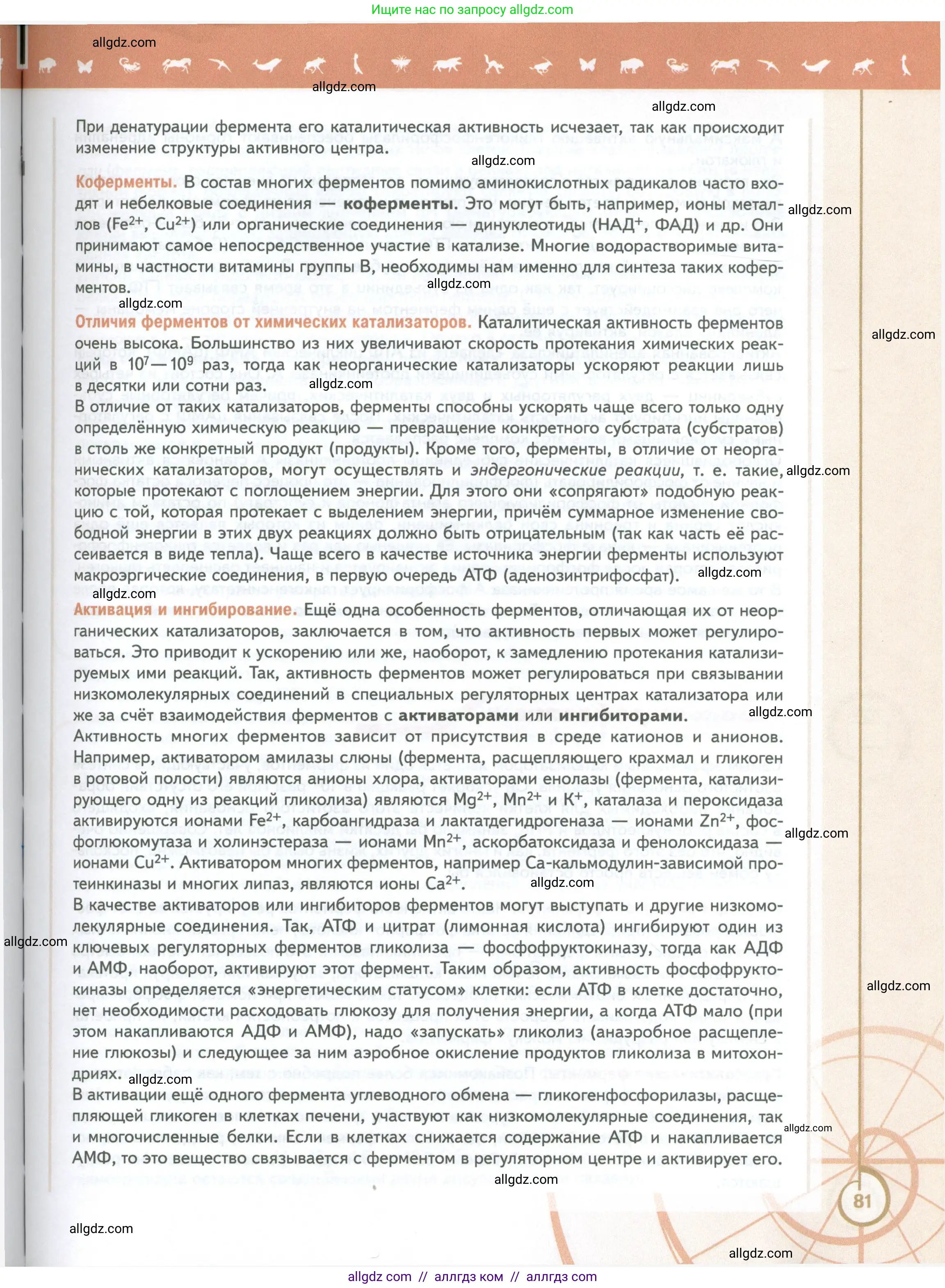 Биология, 10 класс Учебник, авторы: Пасечник Владимир Васильевич, Каменский Андрей Александрович, Рубцов Александр Михайлович, Швецов Глеб Геннадьевич, Абовян Леван Арташесович, Гапонюк Зоя Георгиевна, издательство Просвещение, Москва, 2024, коричневого цвета, страница 81