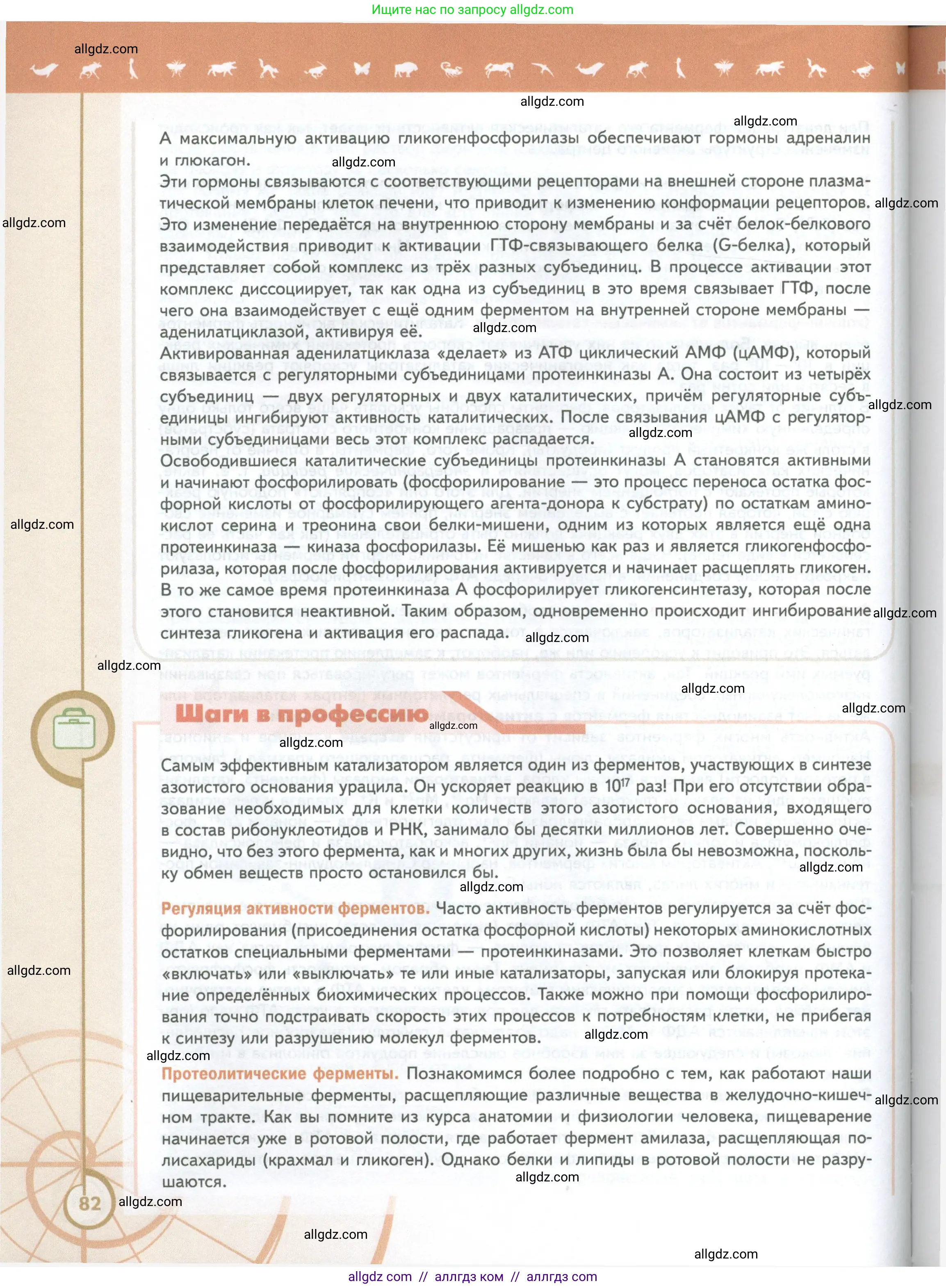 Биология, 10 класс Учебник, авторы: Пасечник Владимир Васильевич, Каменский Андрей Александрович, Рубцов Александр Михайлович, Швецов Глеб Геннадьевич, Абовян Леван Арташесович, Гапонюк Зоя Георгиевна, издательство Просвещение, Москва, 2024, коричневого цвета, страница 82