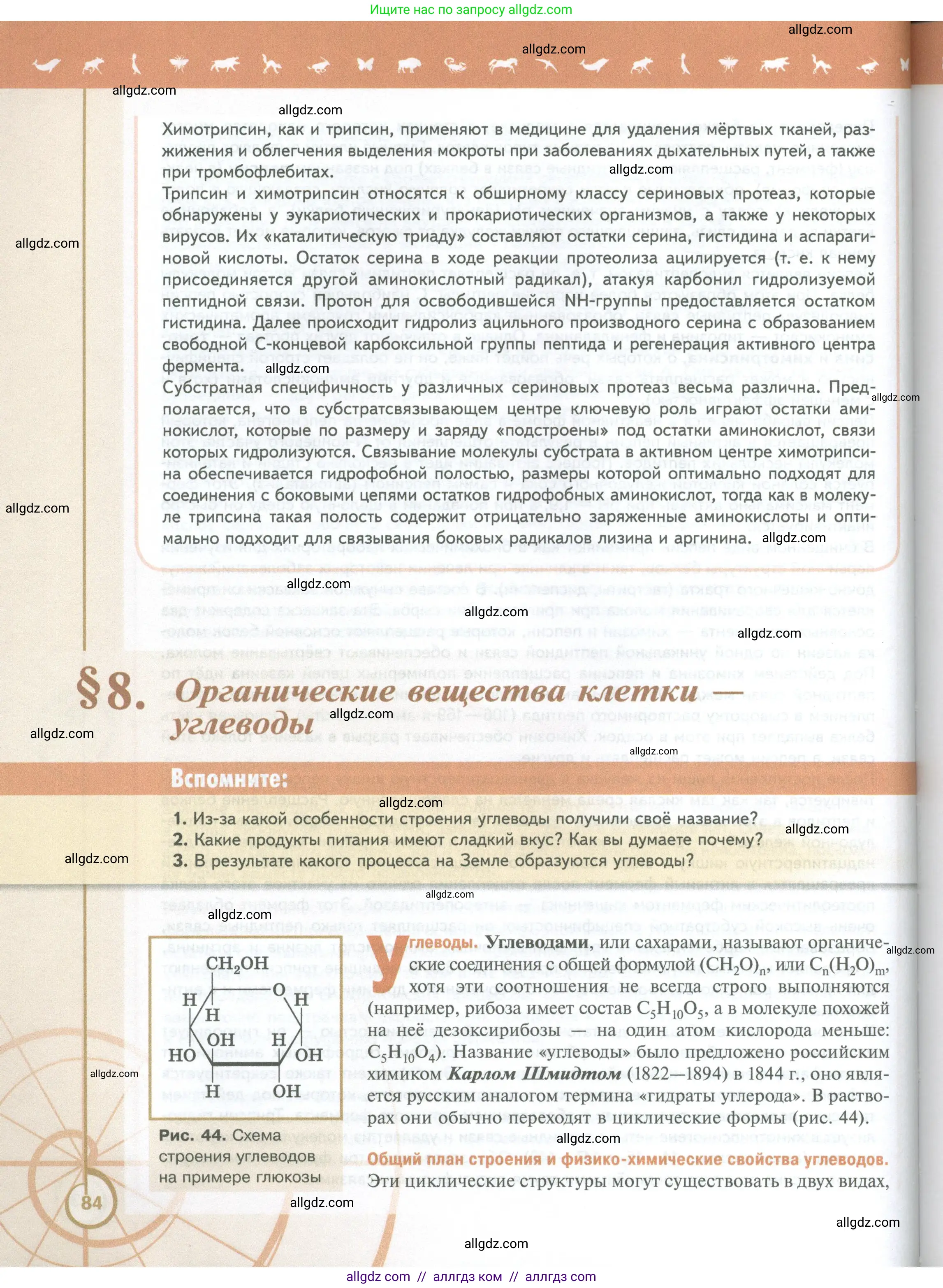 Биология, 10 класс Учебник, авторы: Пасечник Владимир Васильевич, Каменский Андрей Александрович, Рубцов Александр Михайлович, Швецов Глеб Геннадьевич, Абовян Леван Арташесович, Гапонюк Зоя Георгиевна, издательство Просвещение, Москва, 2024, коричневого цвета, Часть 1, страница 84