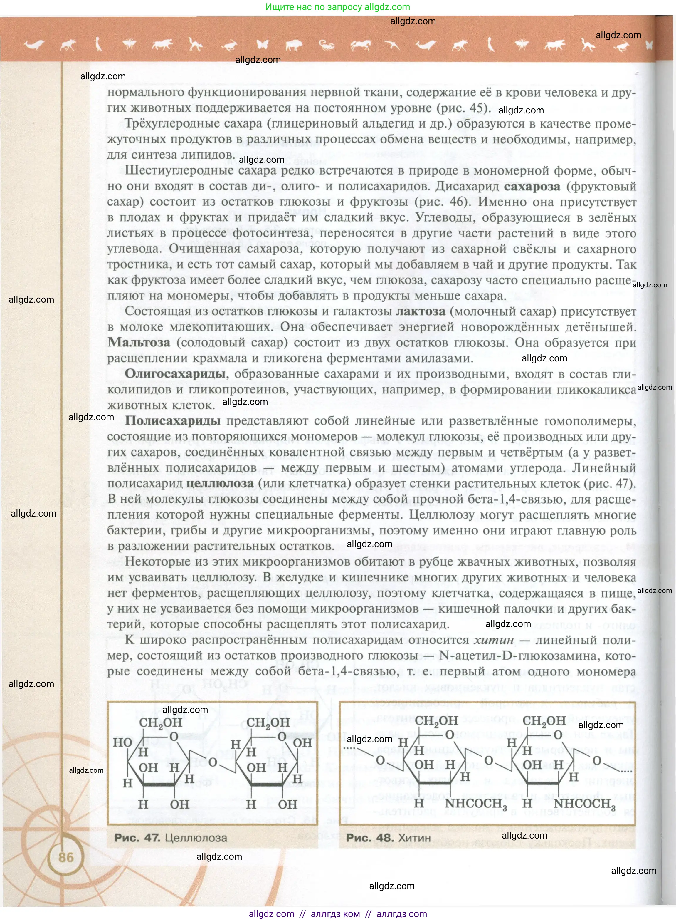 Биология, 10 класс Учебник, авторы: Пасечник Владимир Васильевич, Каменский Андрей Александрович, Рубцов Александр Михайлович, Швецов Глеб Геннадьевич, Абовян Леван Арташесович, Гапонюк Зоя Георгиевна, издательство Просвещение, Москва, 2024, коричневого цвета, страница 86