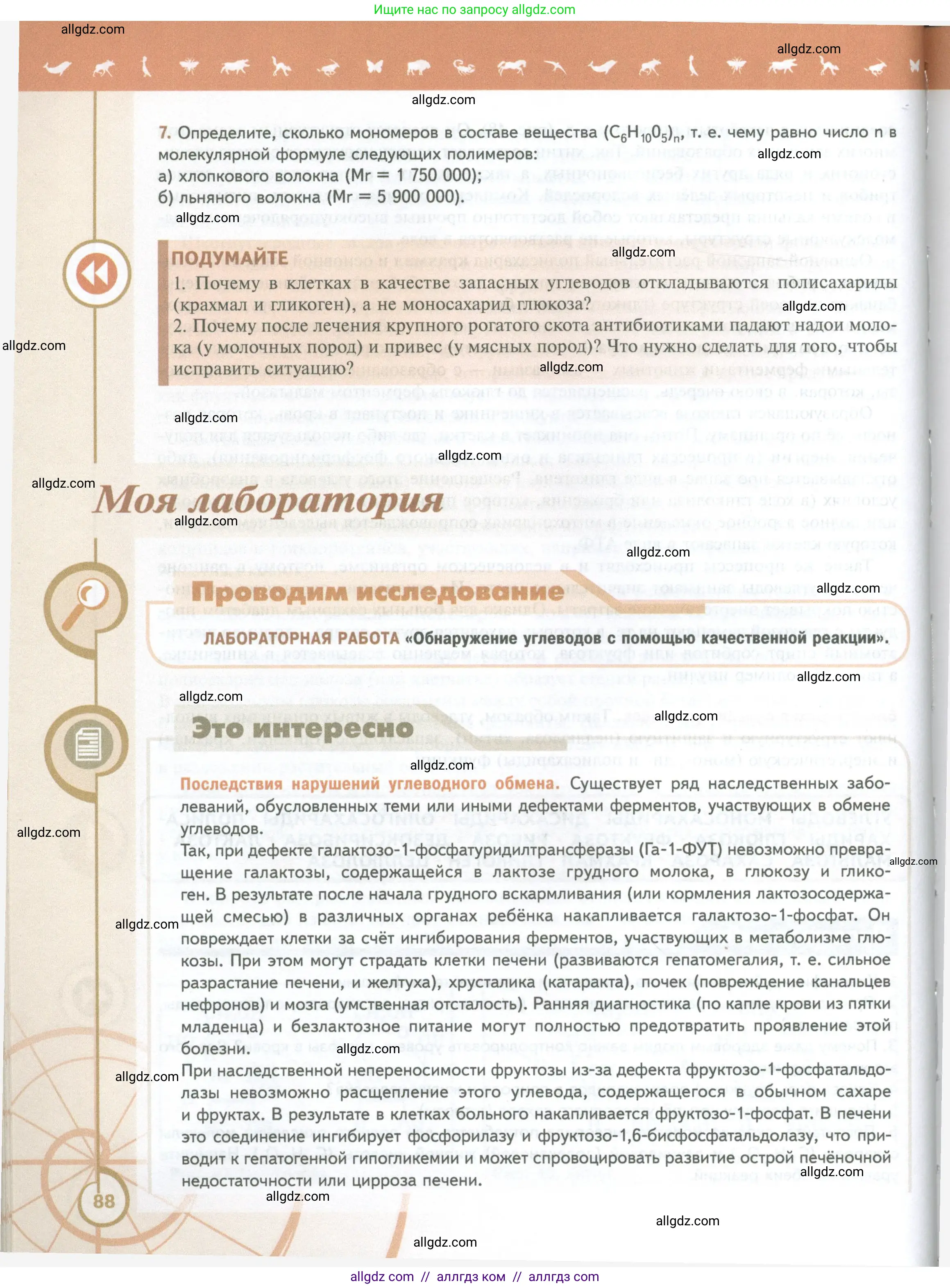 Биология, 10 класс Учебник, авторы: Пасечник Владимир Васильевич, Каменский Андрей Александрович, Рубцов Александр Михайлович, Швецов Глеб Геннадьевич, Абовян Леван Арташесович, Гапонюк Зоя Георгиевна, издательство Просвещение, Москва, 2024, коричневого цвета, Часть 1, страница 88