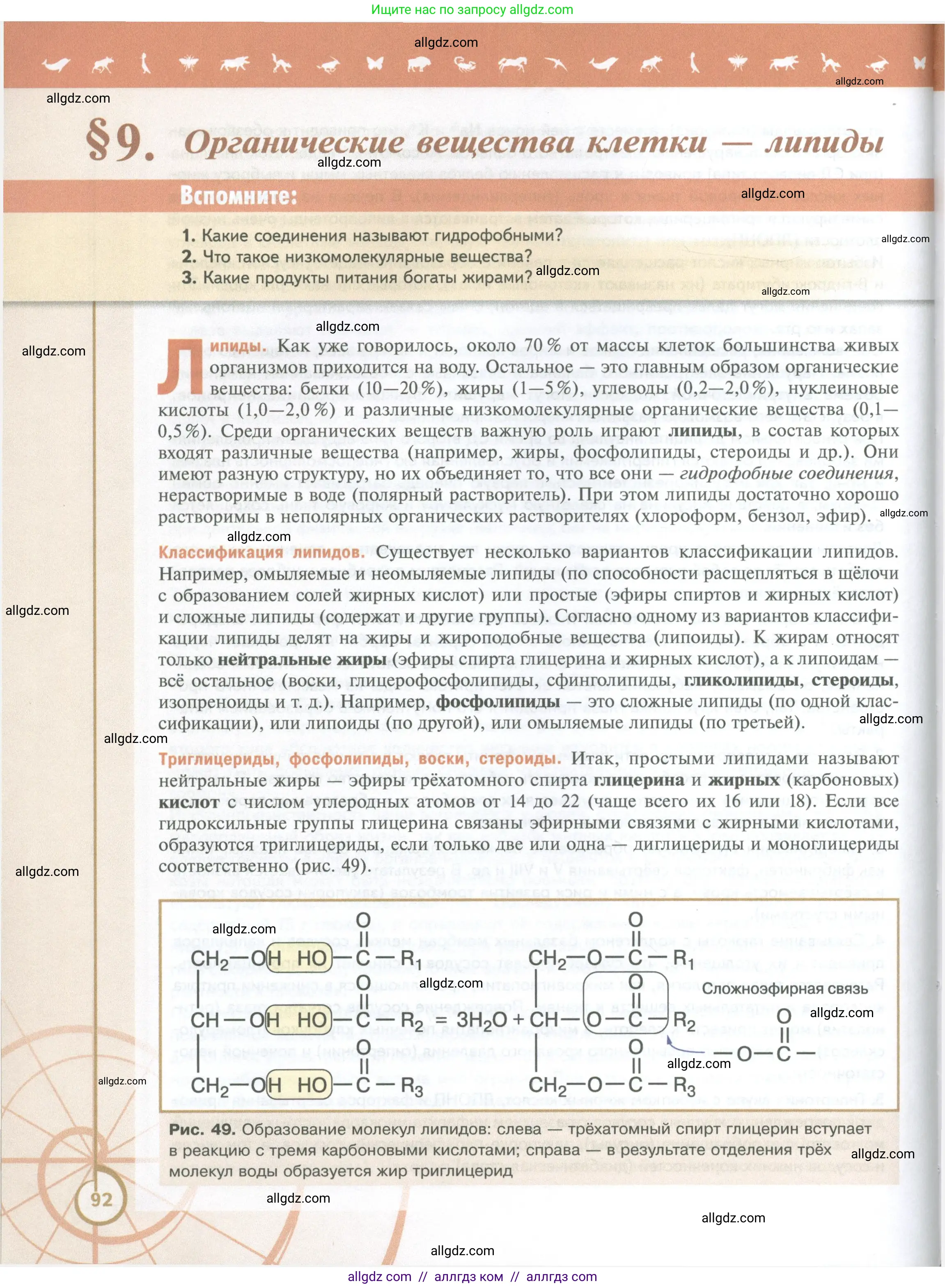 Биология, 10 класс Учебник, авторы: Пасечник Владимир Васильевич, Каменский Андрей Александрович, Рубцов Александр Михайлович, Швецов Глеб Геннадьевич, Абовян Леван Арташесович, Гапонюк Зоя Георгиевна, издательство Просвещение, Москва, 2024, коричневого цвета, Часть 1, страница 92