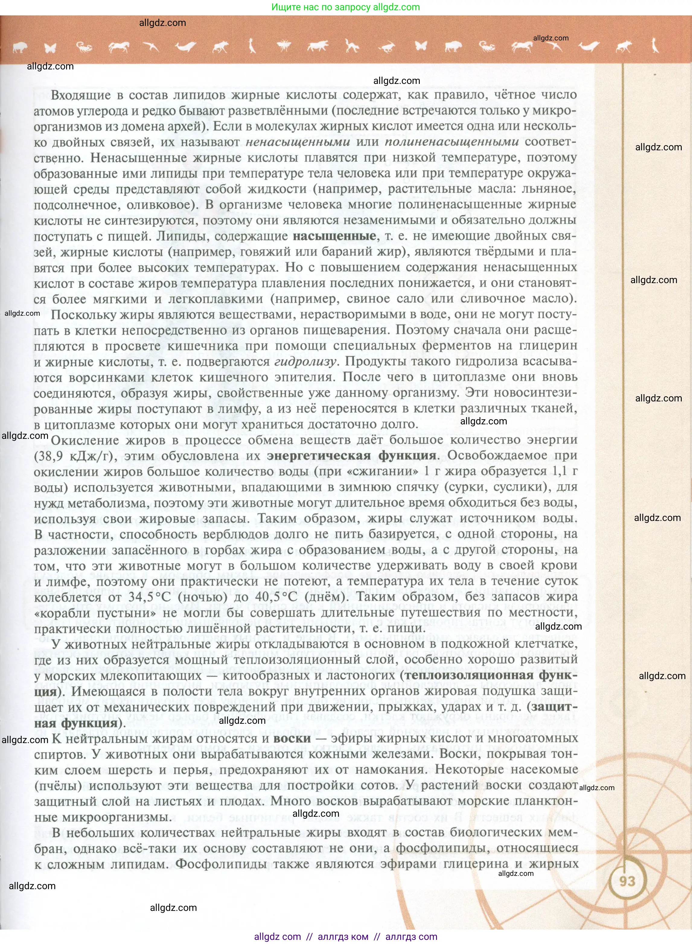 Биология, 10 класс Учебник, авторы: Пасечник Владимир Васильевич, Каменский Андрей Александрович, Рубцов Александр Михайлович, Швецов Глеб Геннадьевич, Абовян Леван Арташесович, Гапонюк Зоя Георгиевна, издательство Просвещение, Москва, 2024, коричневого цвета, страница 93