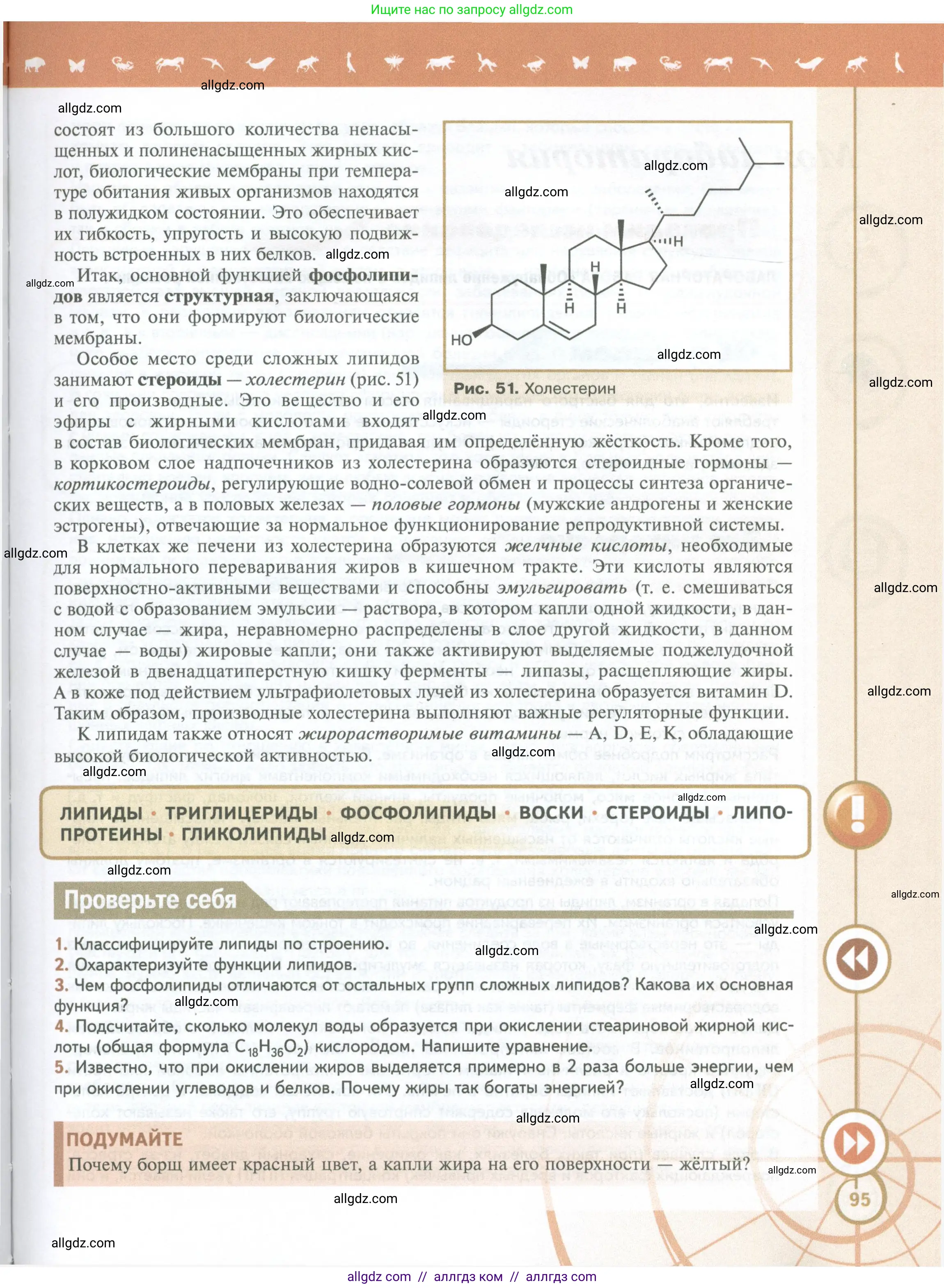Биология, 10 класс Учебник, авторы: Пасечник Владимир Васильевич, Каменский Андрей Александрович, Рубцов Александр Михайлович, Швецов Глеб Геннадьевич, Абовян Леван Арташесович, Гапонюк Зоя Георгиевна, издательство Просвещение, Москва, 2024, коричневого цвета, Часть 1, страница 95